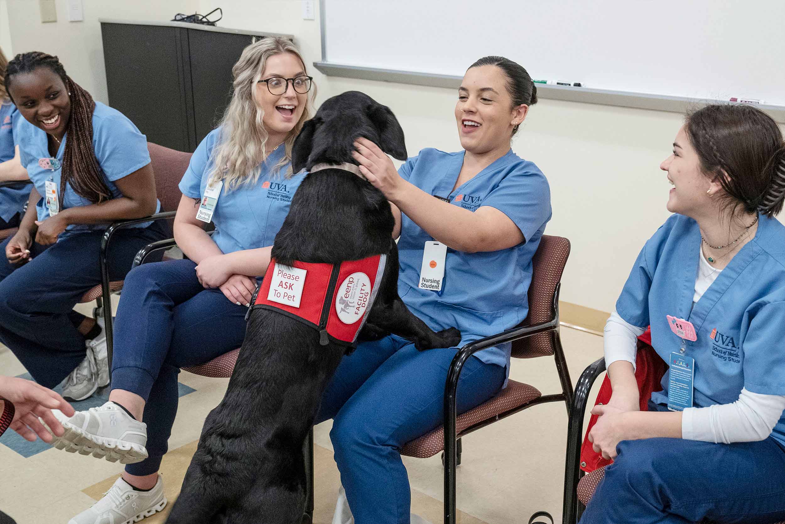 Nursing students presenting with Kenny the therapy dog