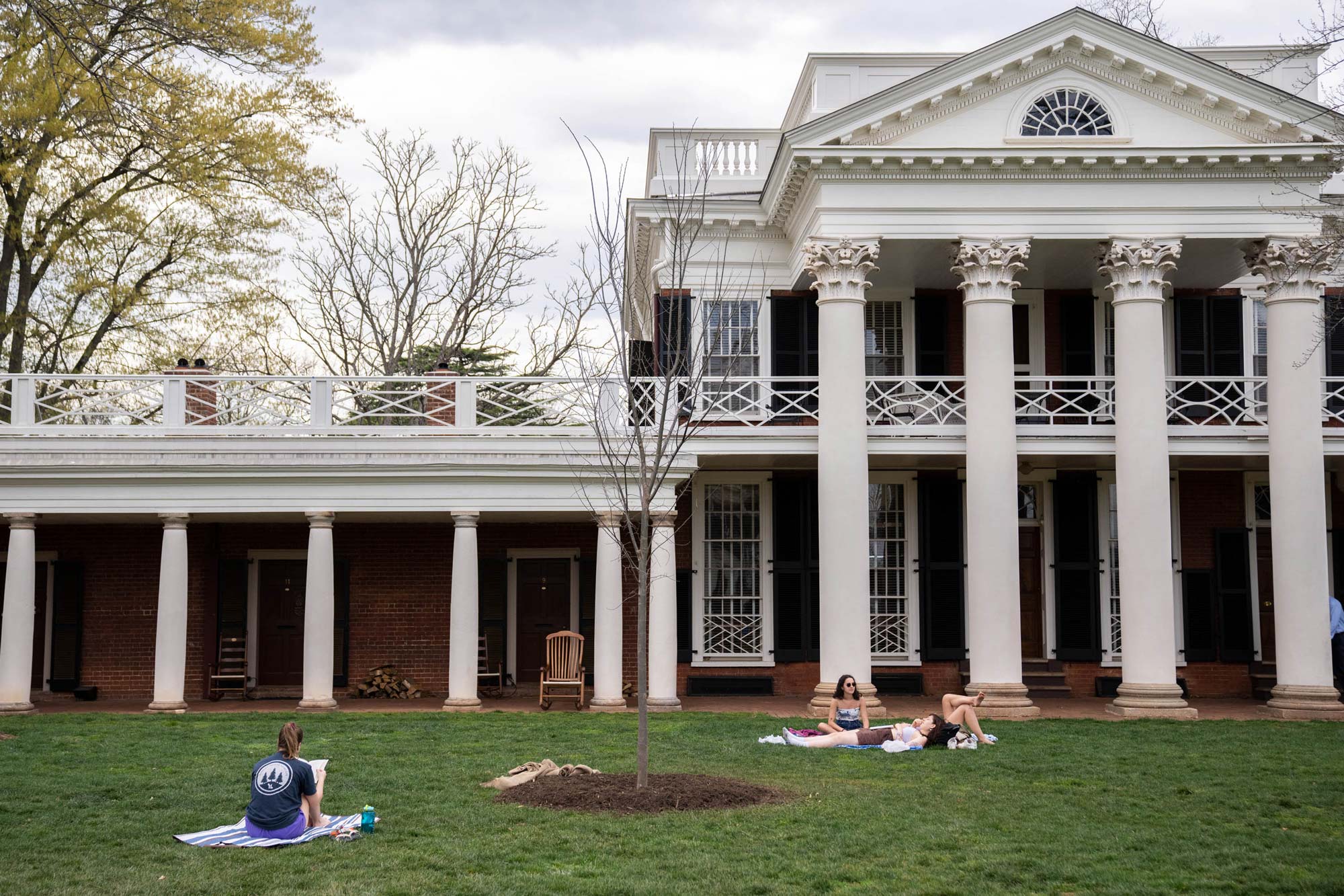 UVA students relax in the grass near a leafless, newly planted tree