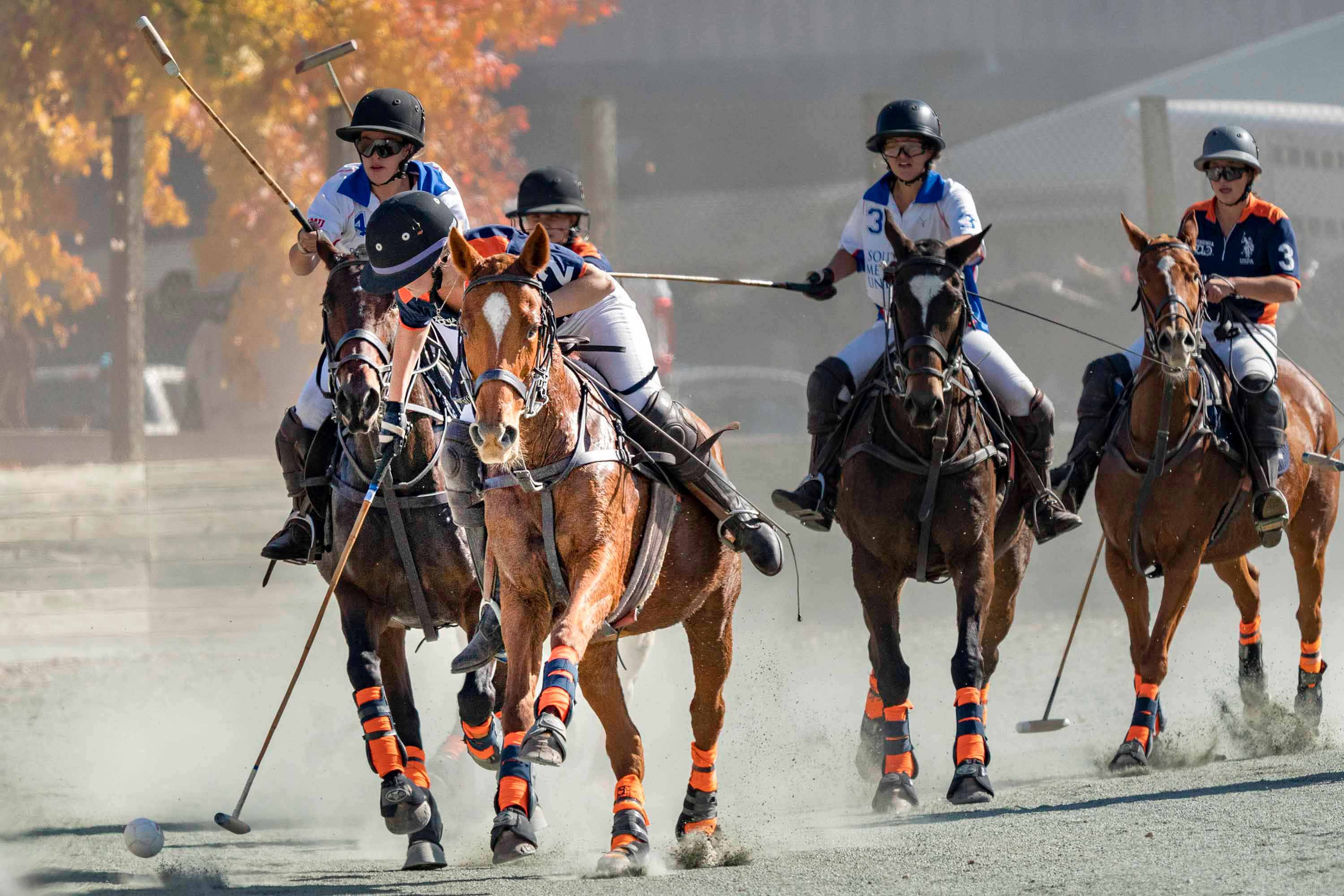 UVA polo players going after a ball against their opponents