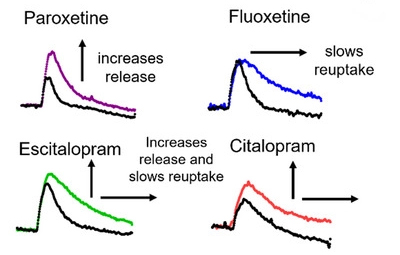 These four sets of fast-scan cyclic voltammetry graphs show how the SSRIs performed