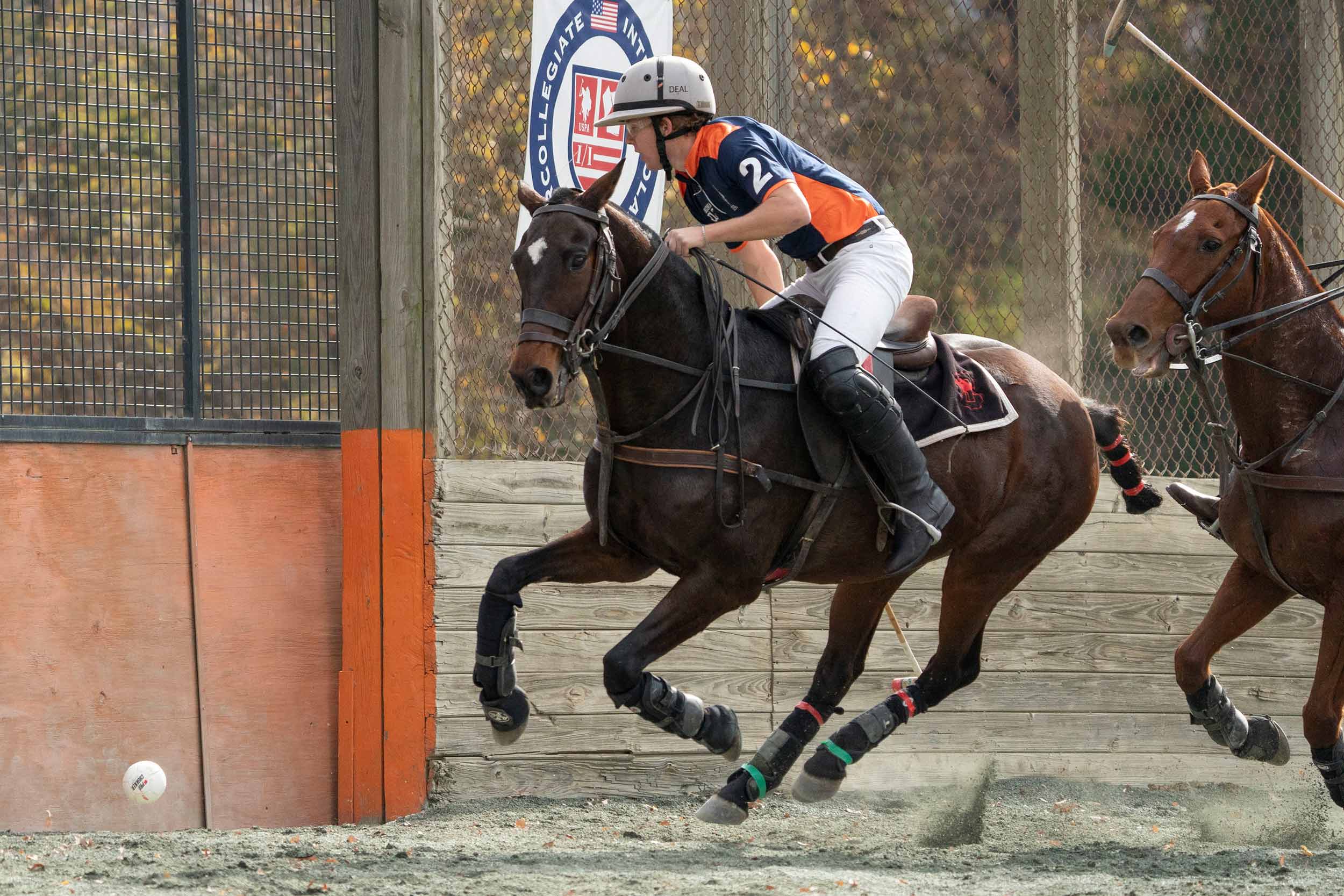 UVA polo player and horse running full speed after the ball