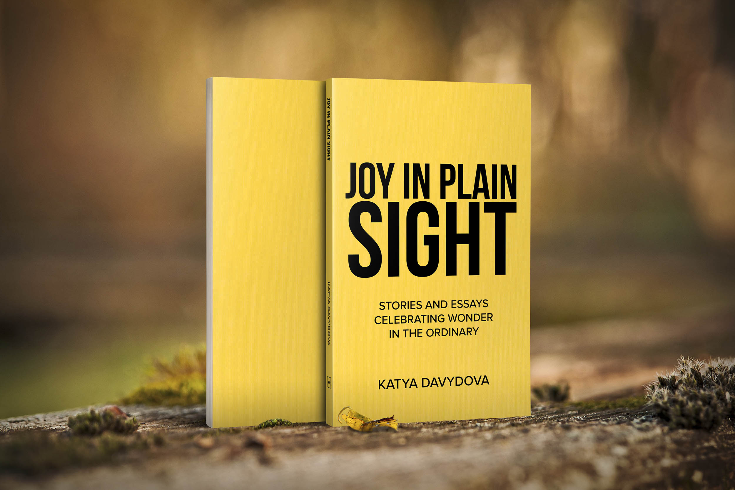 Book Joy in Plain Sight: stories and essays celebrating wonder in the ordinary by Katya Davydova