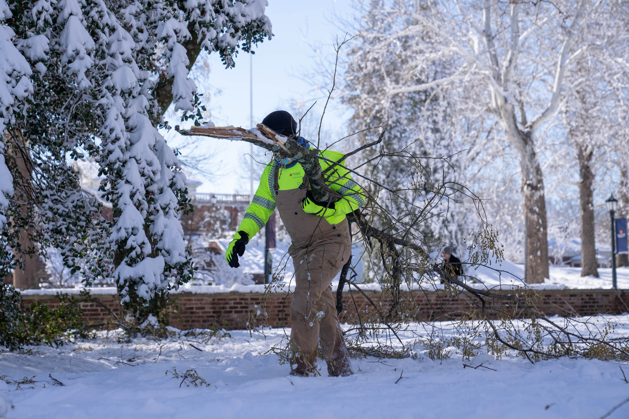 FM Worker collecting broken branches from a tree in the snow