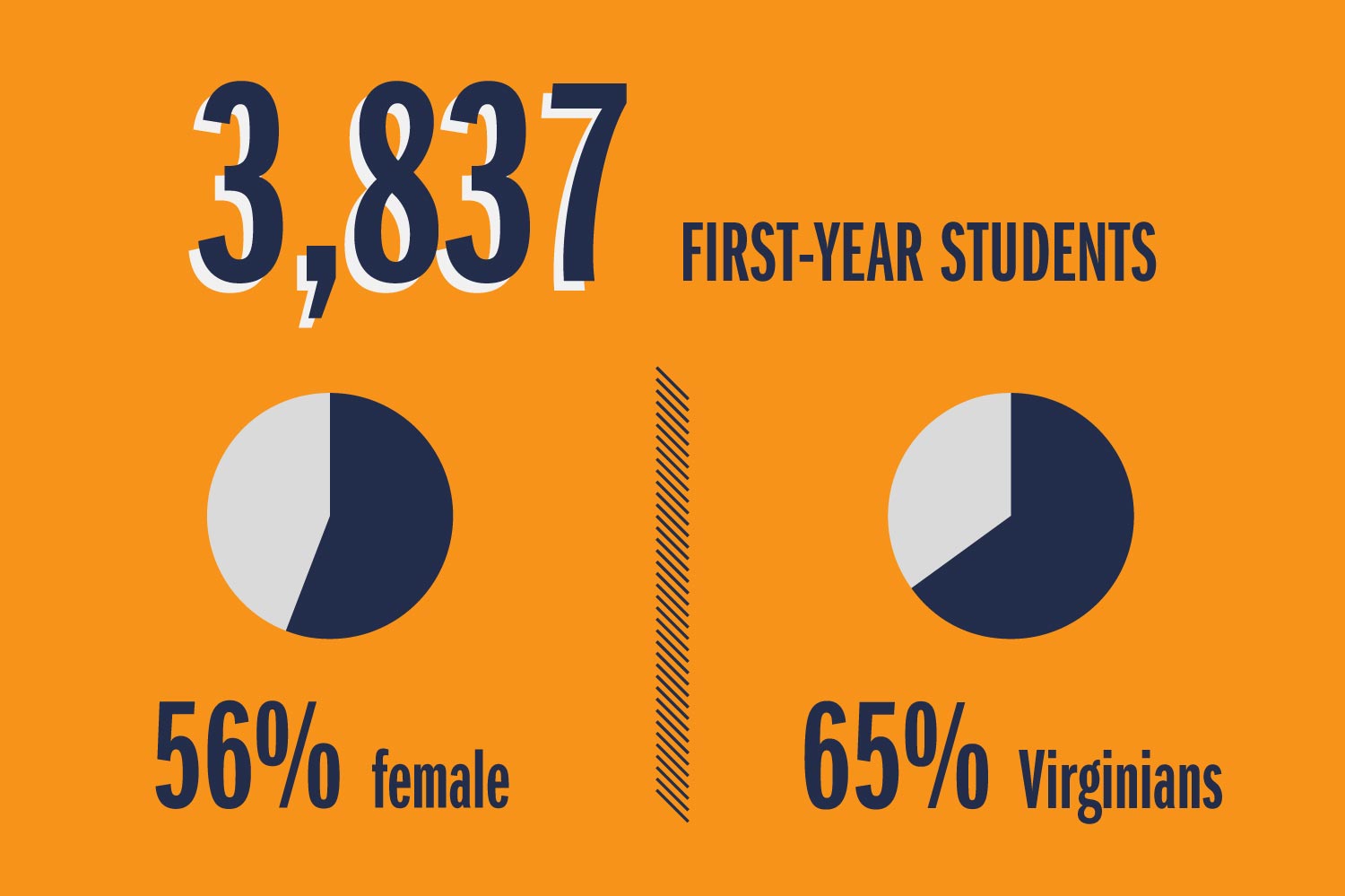 text reads: 3837 first-year students 56% female 65% virginias