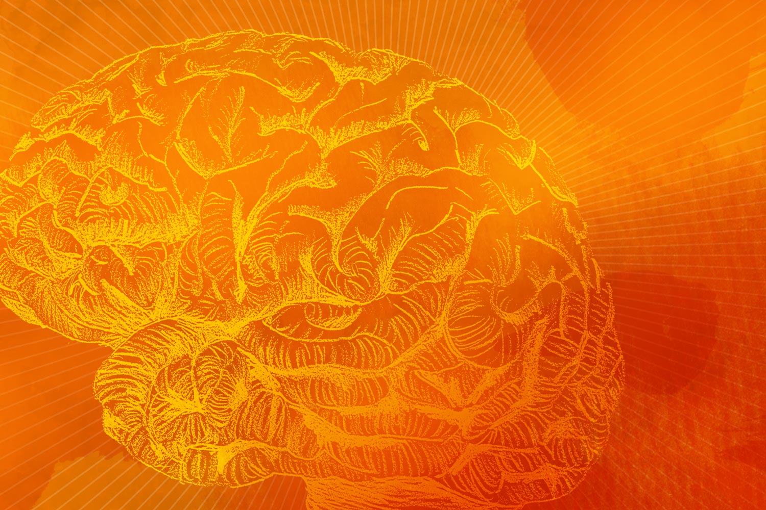 Illustration of a brain in the color orange