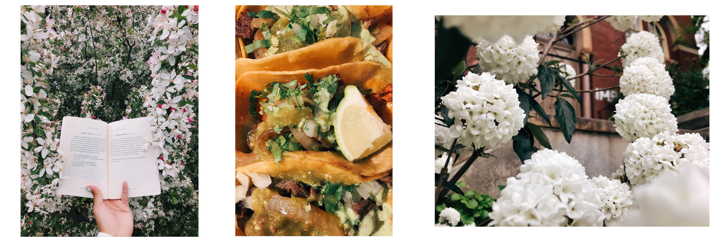 left, homemade street tacos, and white flowers, right