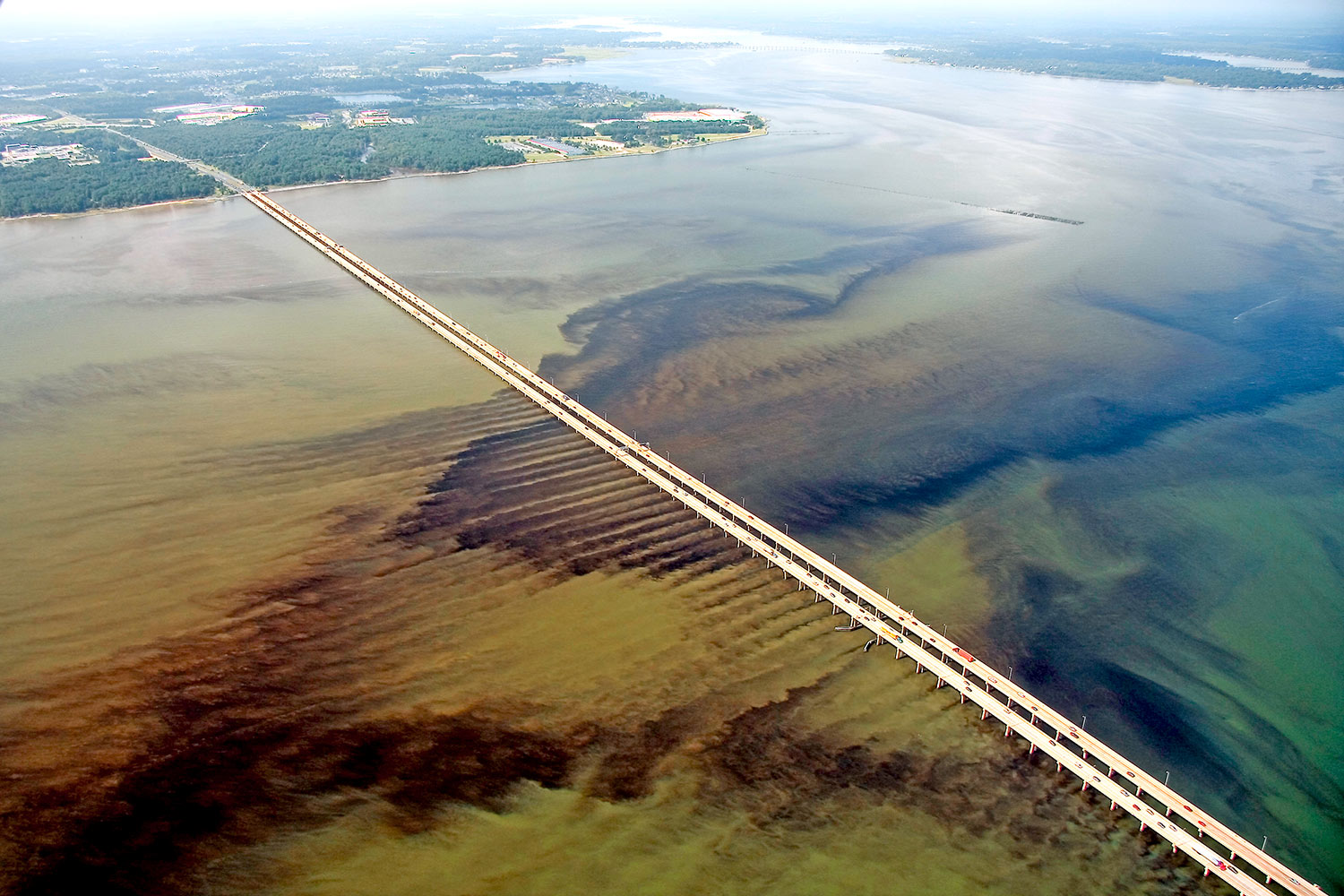 A massive algal bloom at the Monitor-Merrimack Bridge where Route 664 crosses the James River near Hampton Roads. (Photo by Wolfgang K. Vogelbein/Virginia Institute of Marine Science)