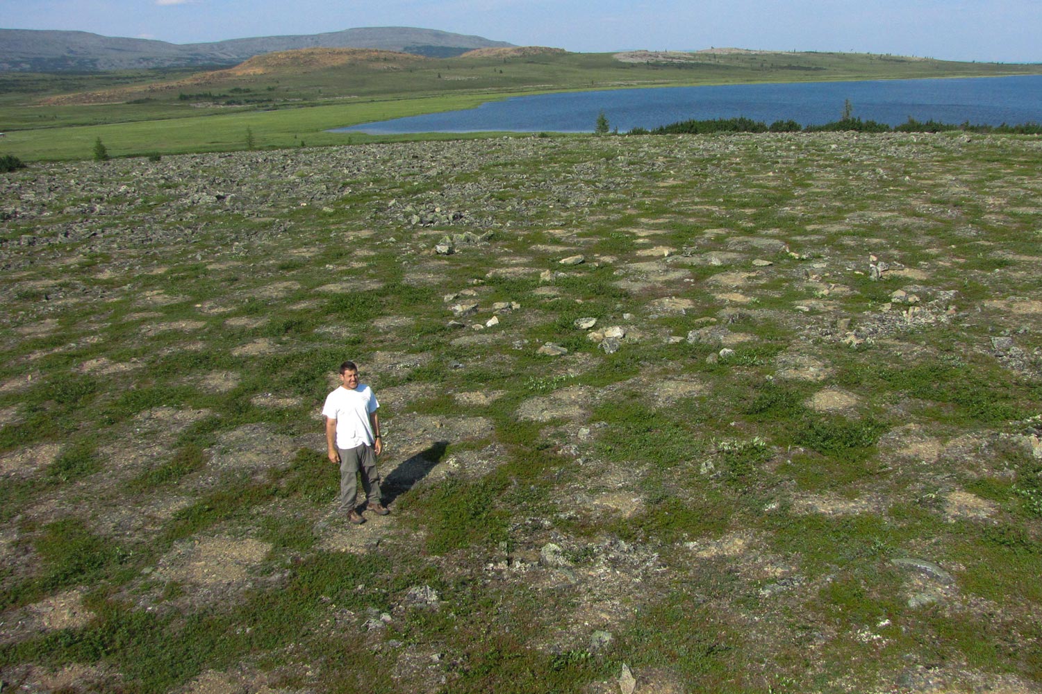 Epstein conducts vegetation sampling on the Siberian tundra. 