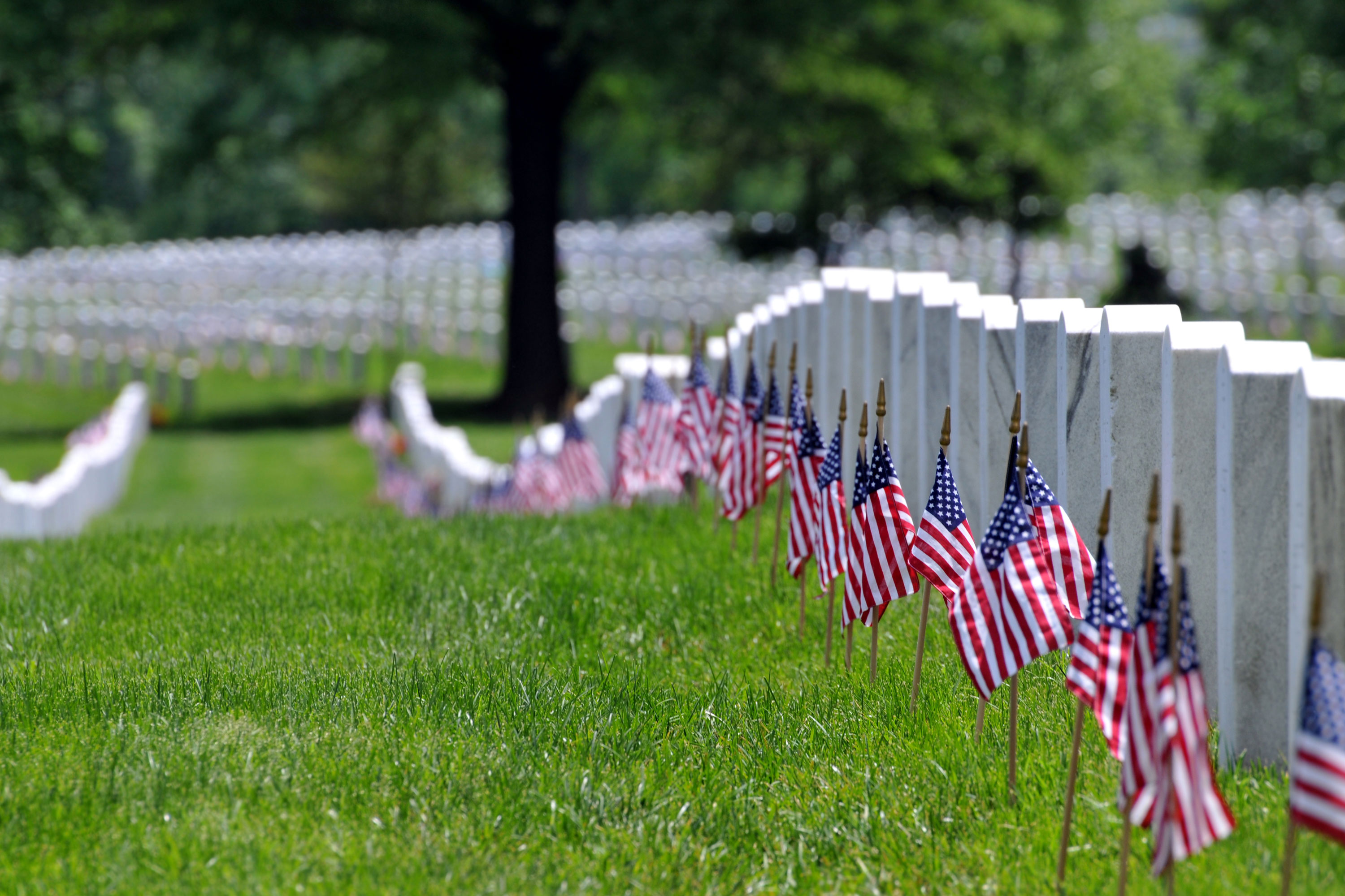 American Flags placed in front of the write tombstones at Arlington Cemetery