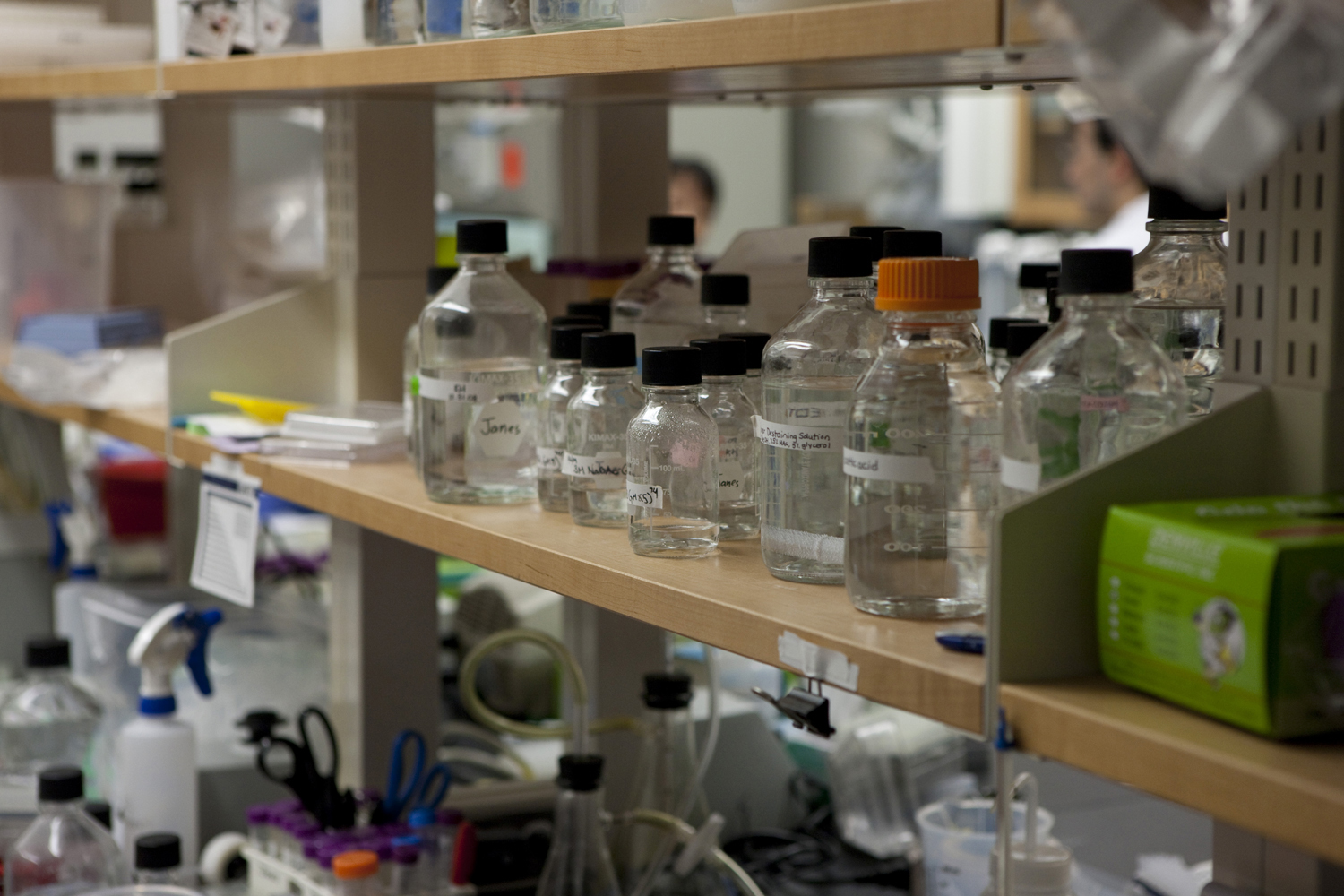 Glass bottles labeled sitting on a shelf in a lab