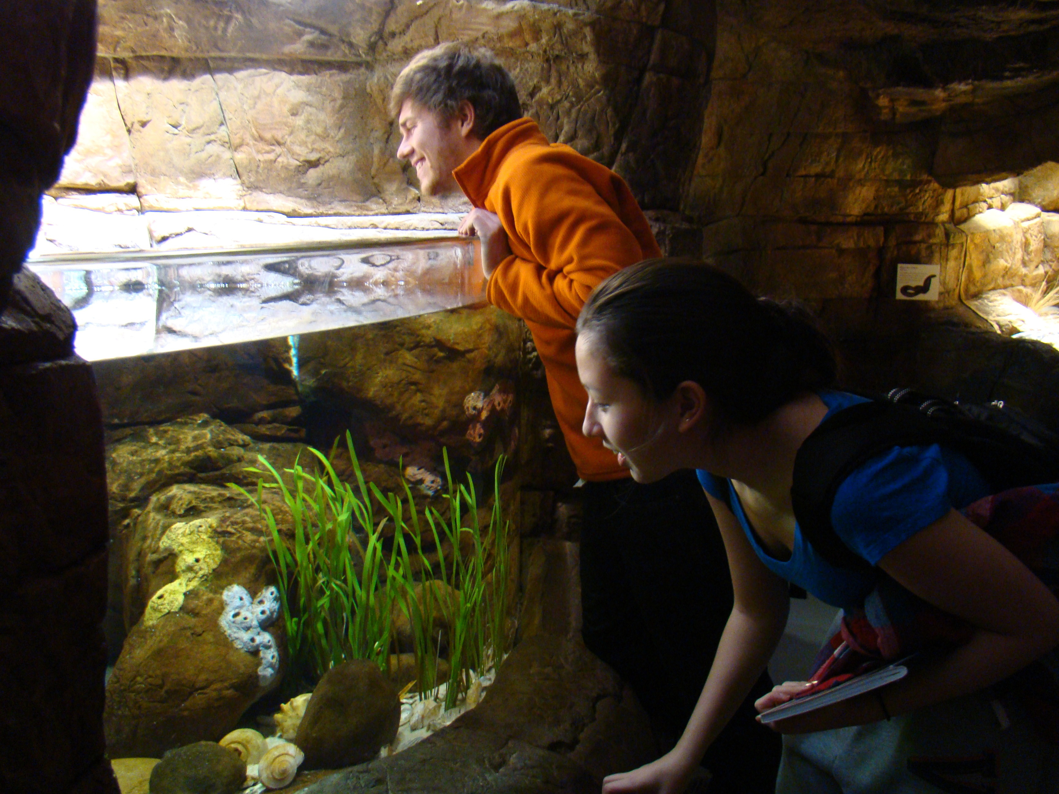 Wilson Deming and Diane Palko look at fish in a tank at a zoo