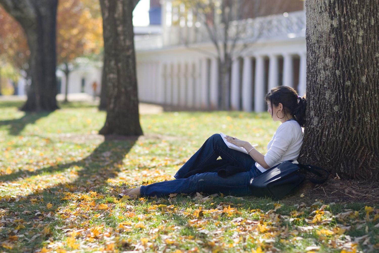 Student sitting on the lawn next to a big tree working in a notebook