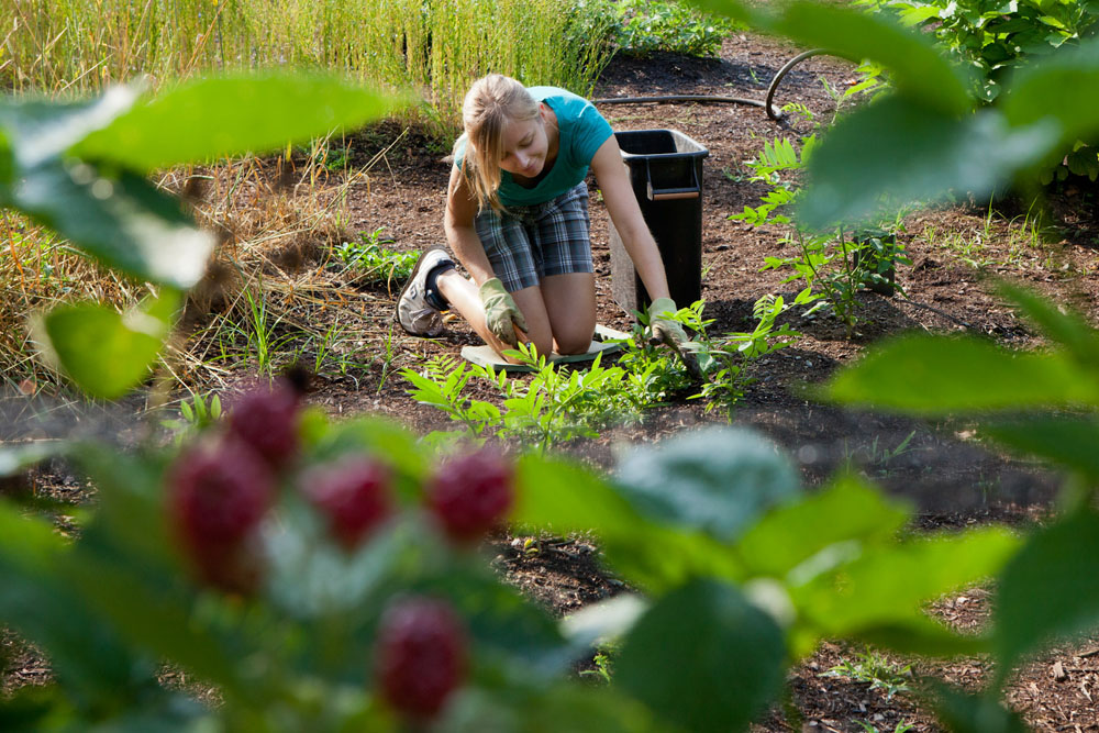 Kari Ann Roynesdal gardening on her knees