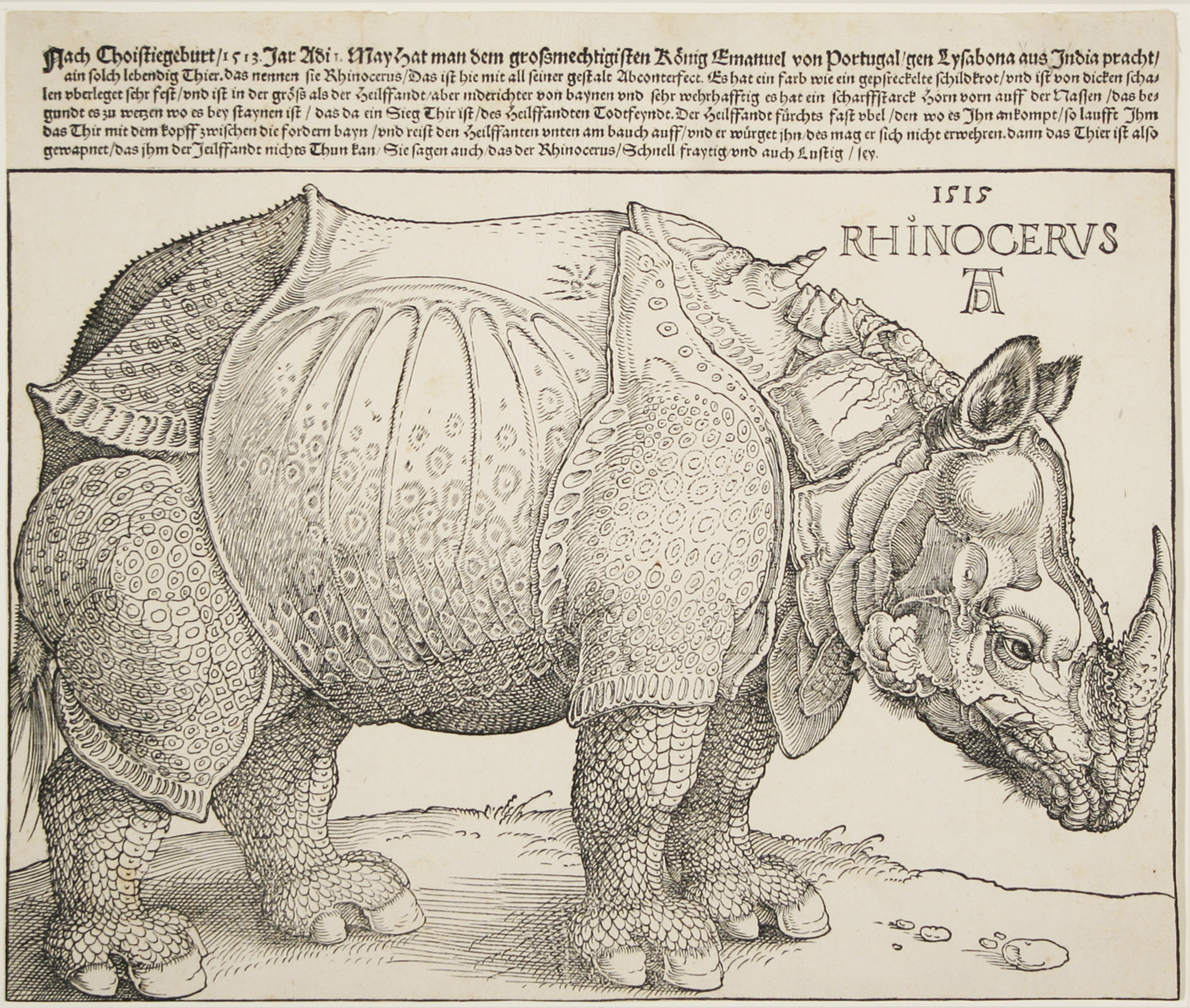 Old article drawing of a Rhinoceros