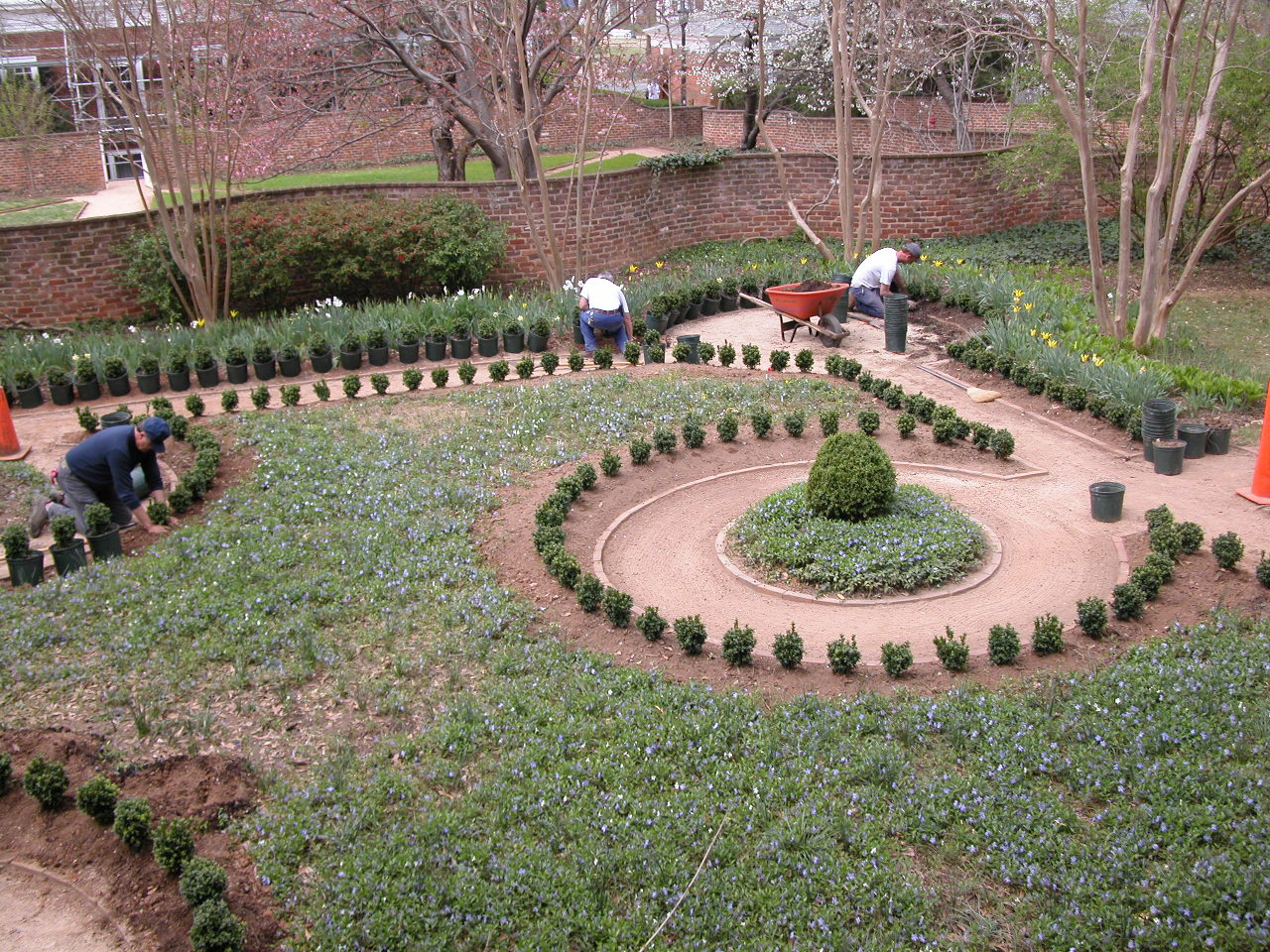 UVA Employees planting flowers in a garden