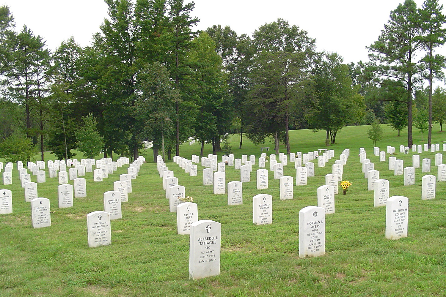 Veteran's tombstones in Arlington cemetery 