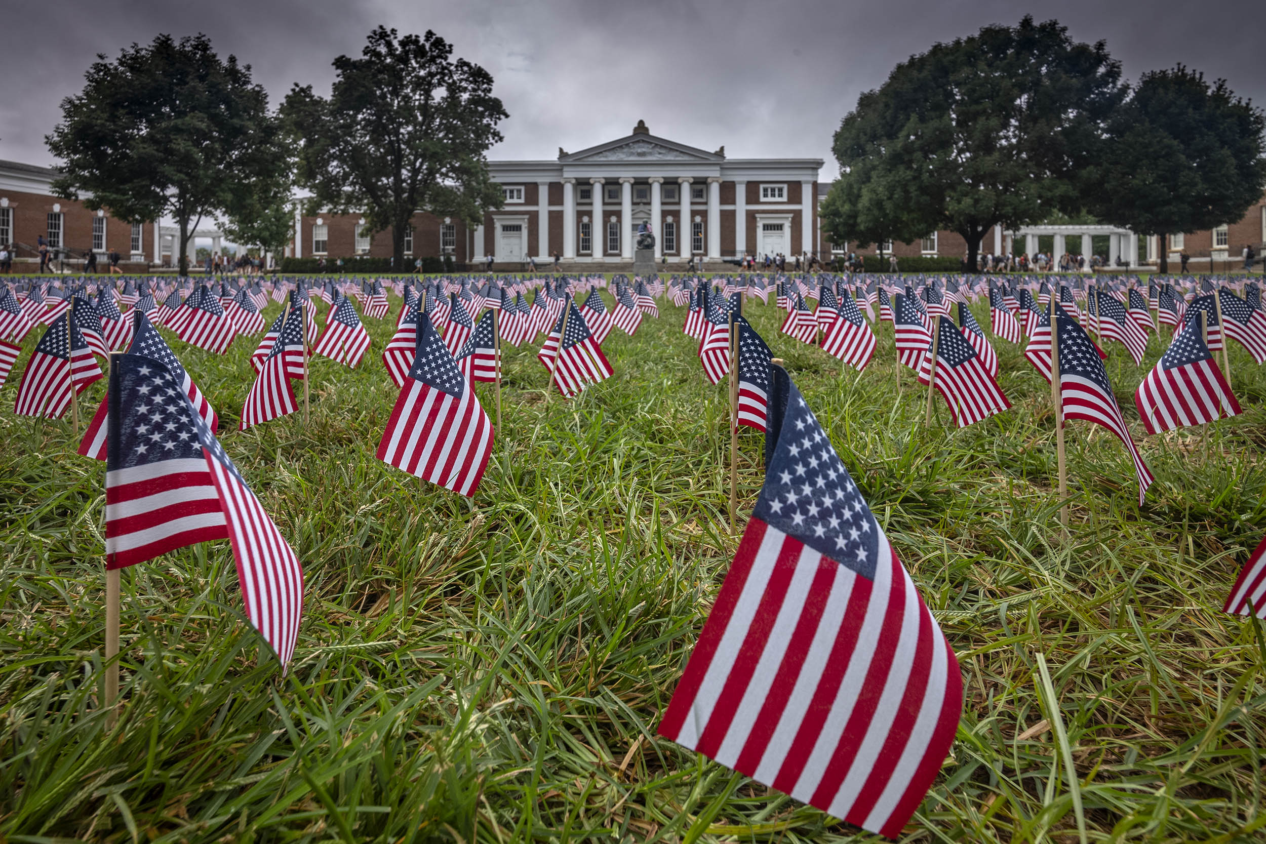 The Lawn filled with small American Flags