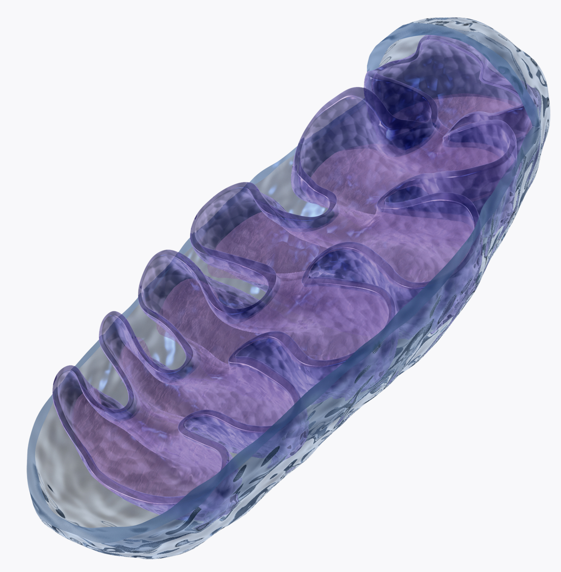 New U.Va. Study Upends Current Theories of How Mitochondria Began | UVA