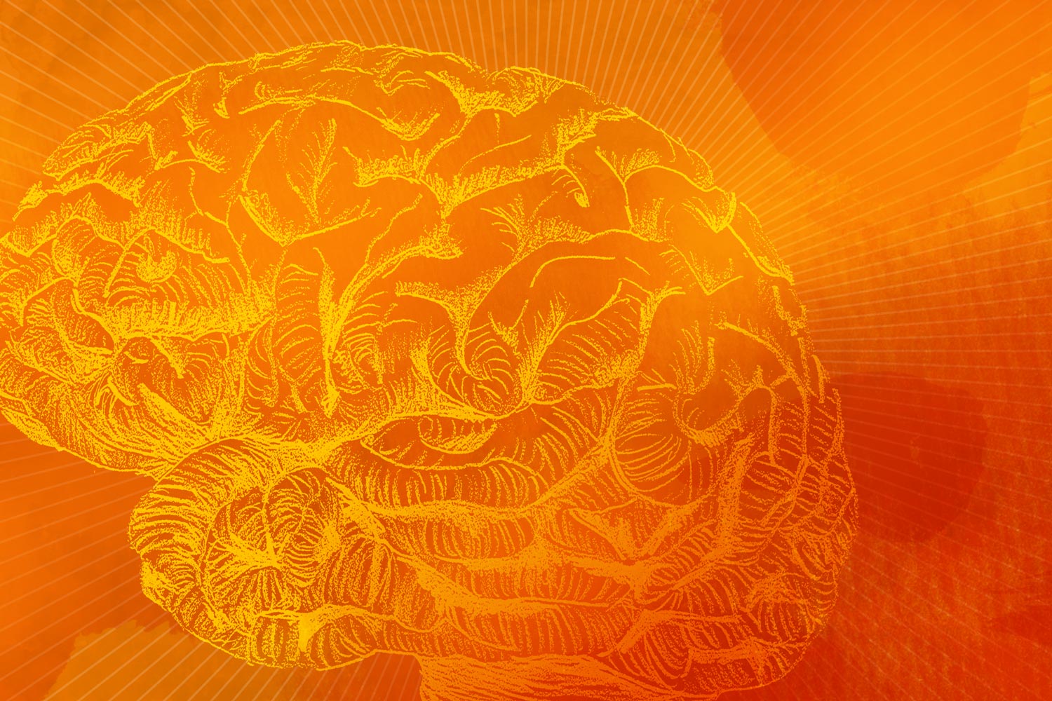 Illustration of an orange brain 