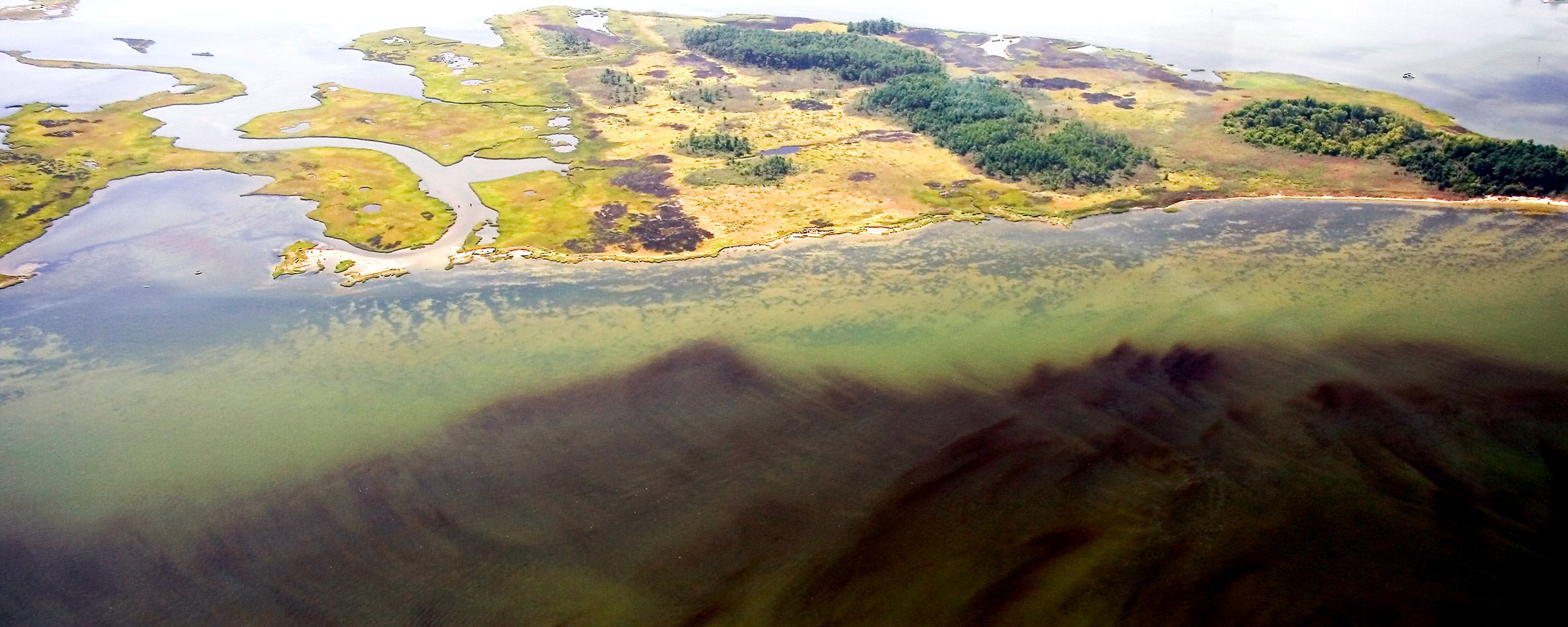Aerial view of a massive algal bloom at the Monitor-Merrimack Bridge