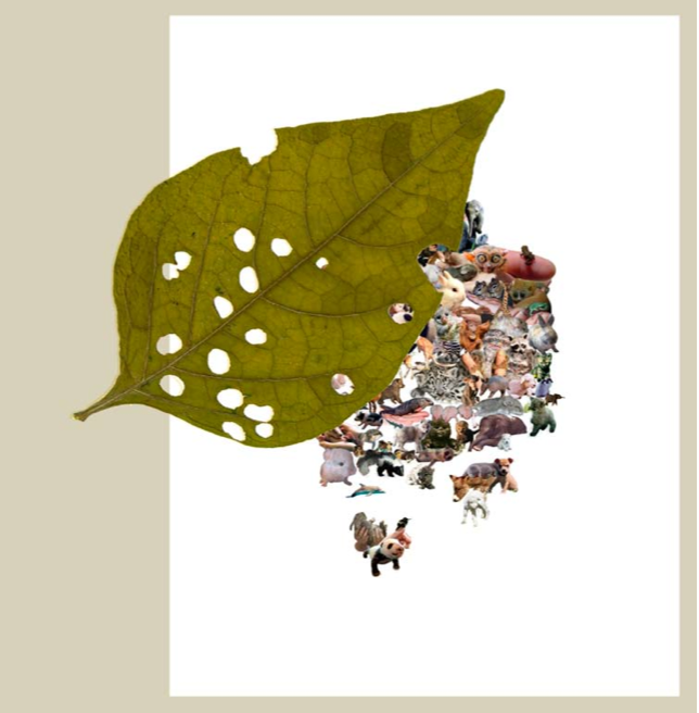 Abstract art of a leaf with holes on top of a collage of animals