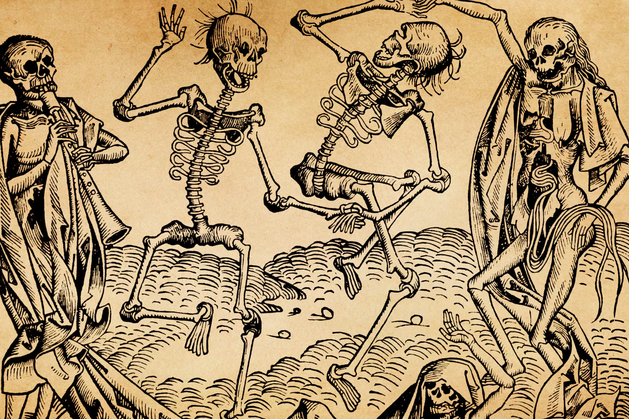 Q&A New Research Reveals Political Changes Wrought by the ‘Black Death