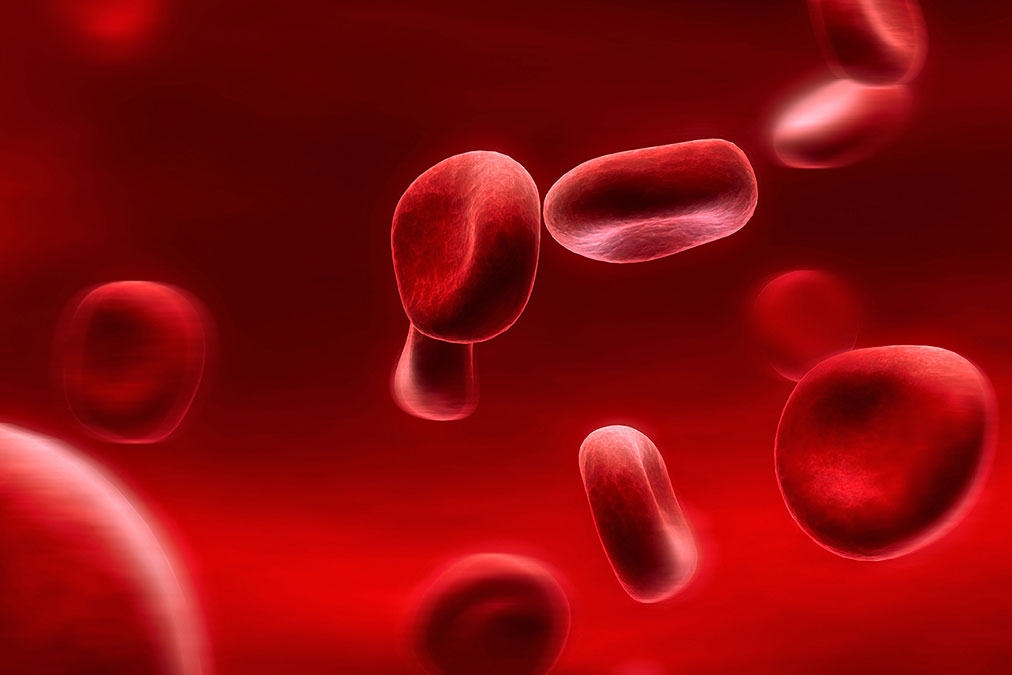illustration of Red blood cells in a vien