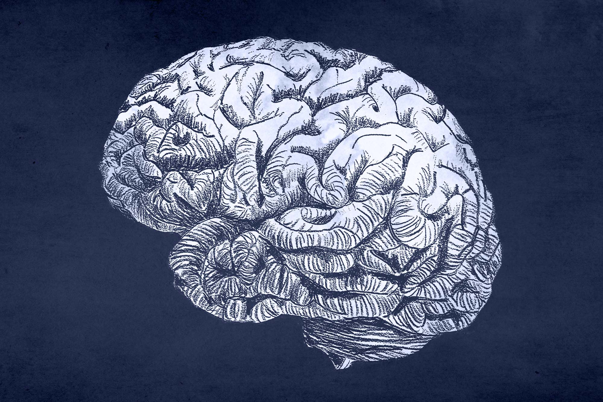 Illustration of a brain on a dark blue background