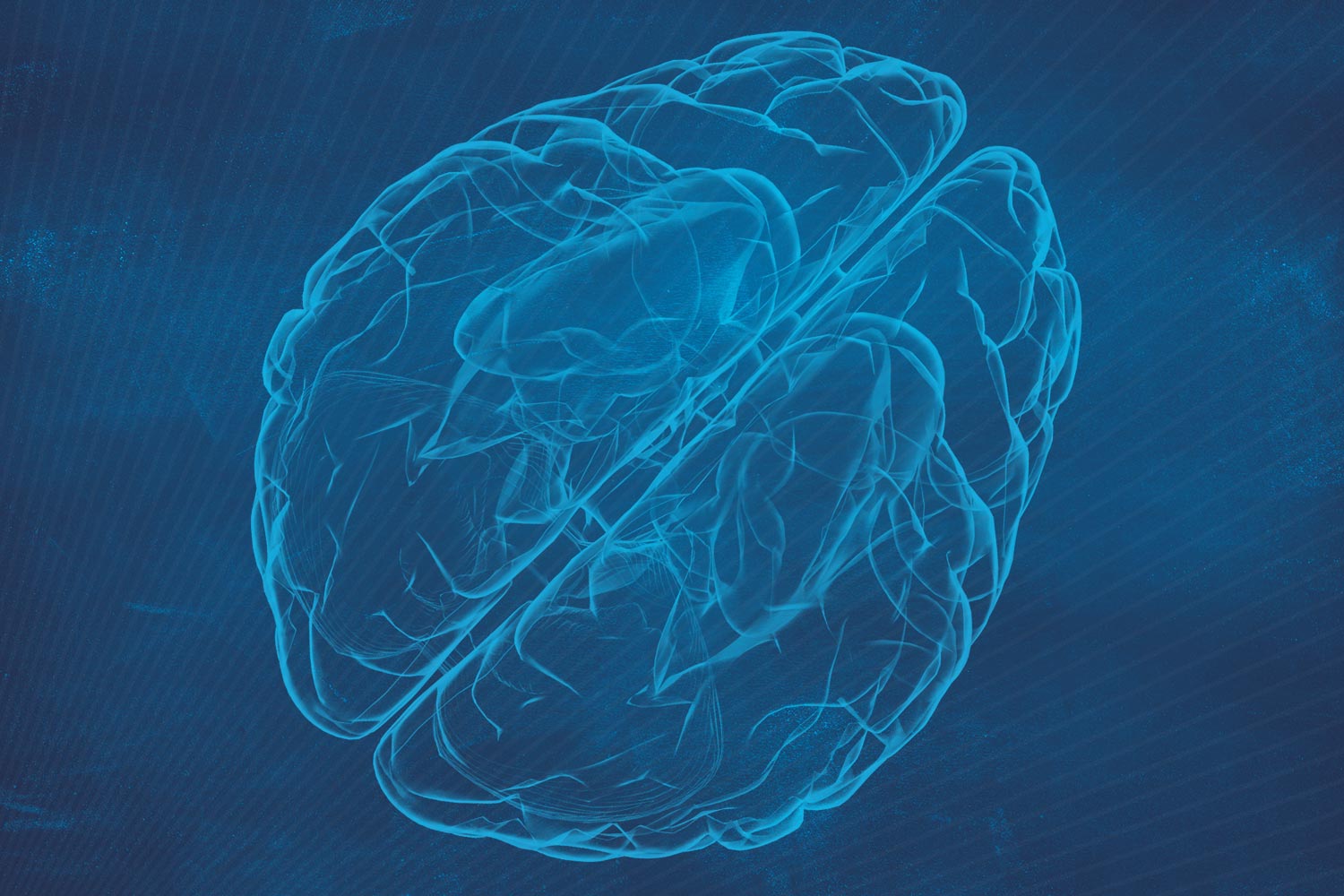 Drawing of a brain
