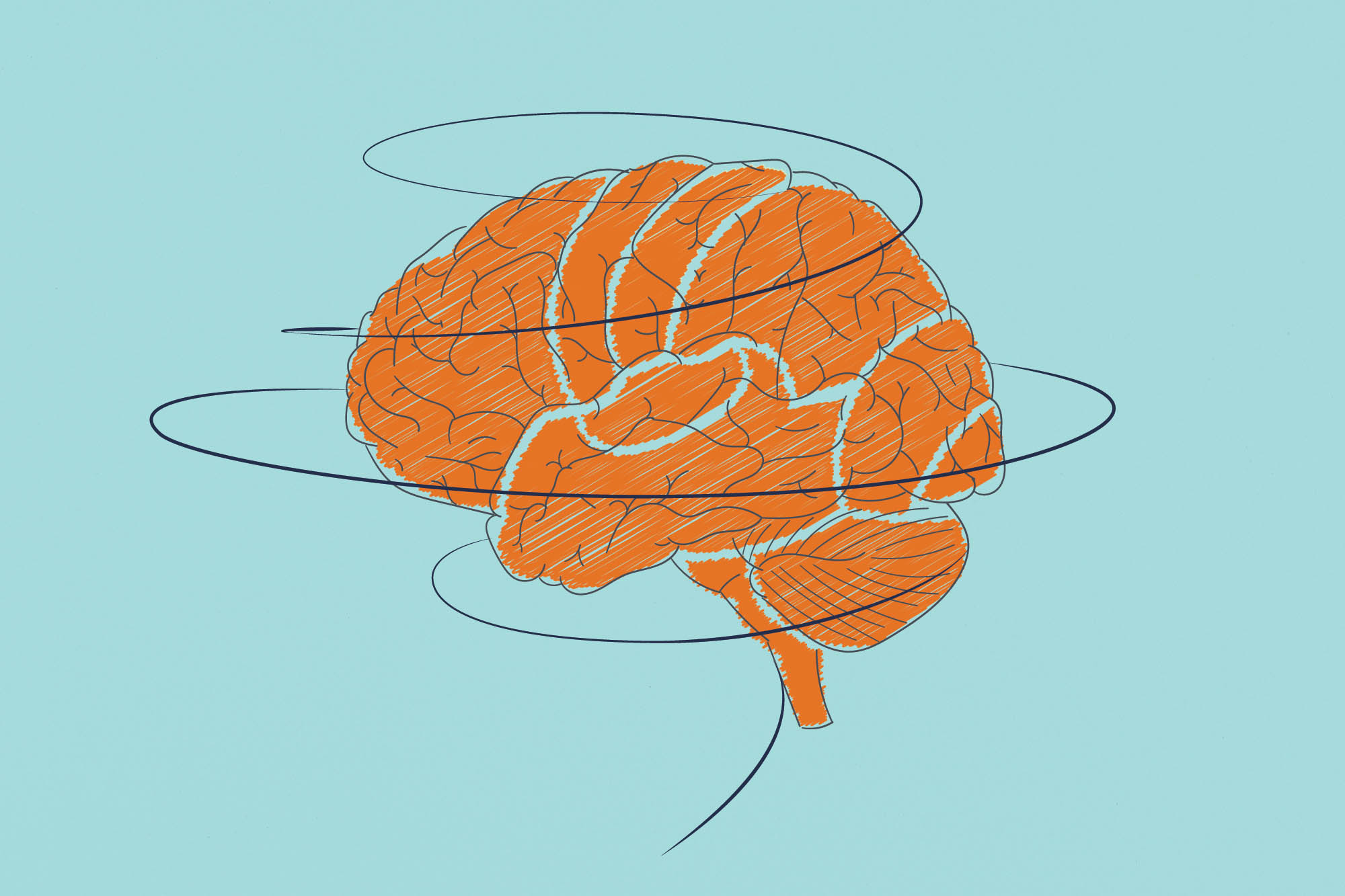 illustration of a n orange brain with a black line circling around the orange brain