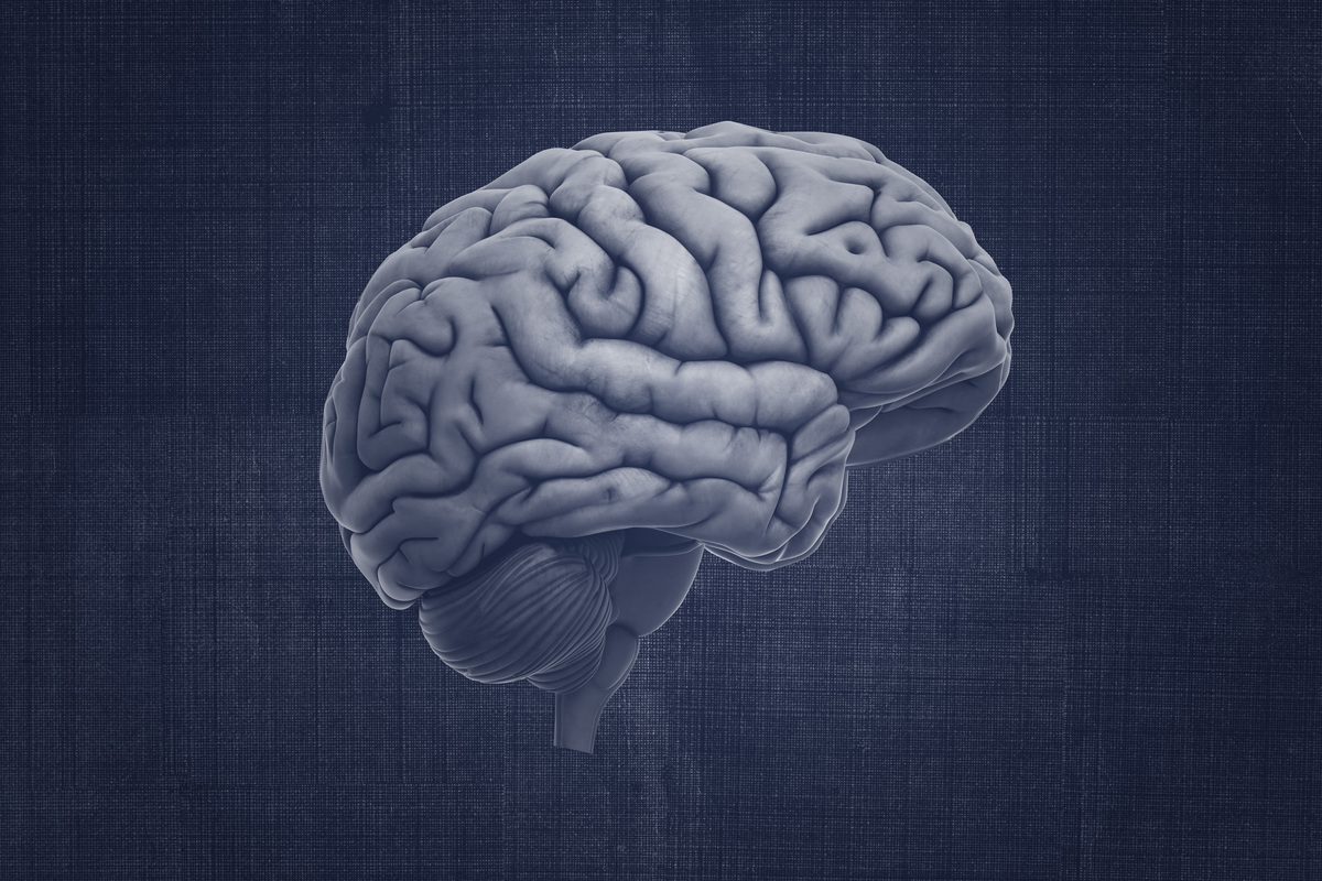 illustration of a brain with a blue overlay