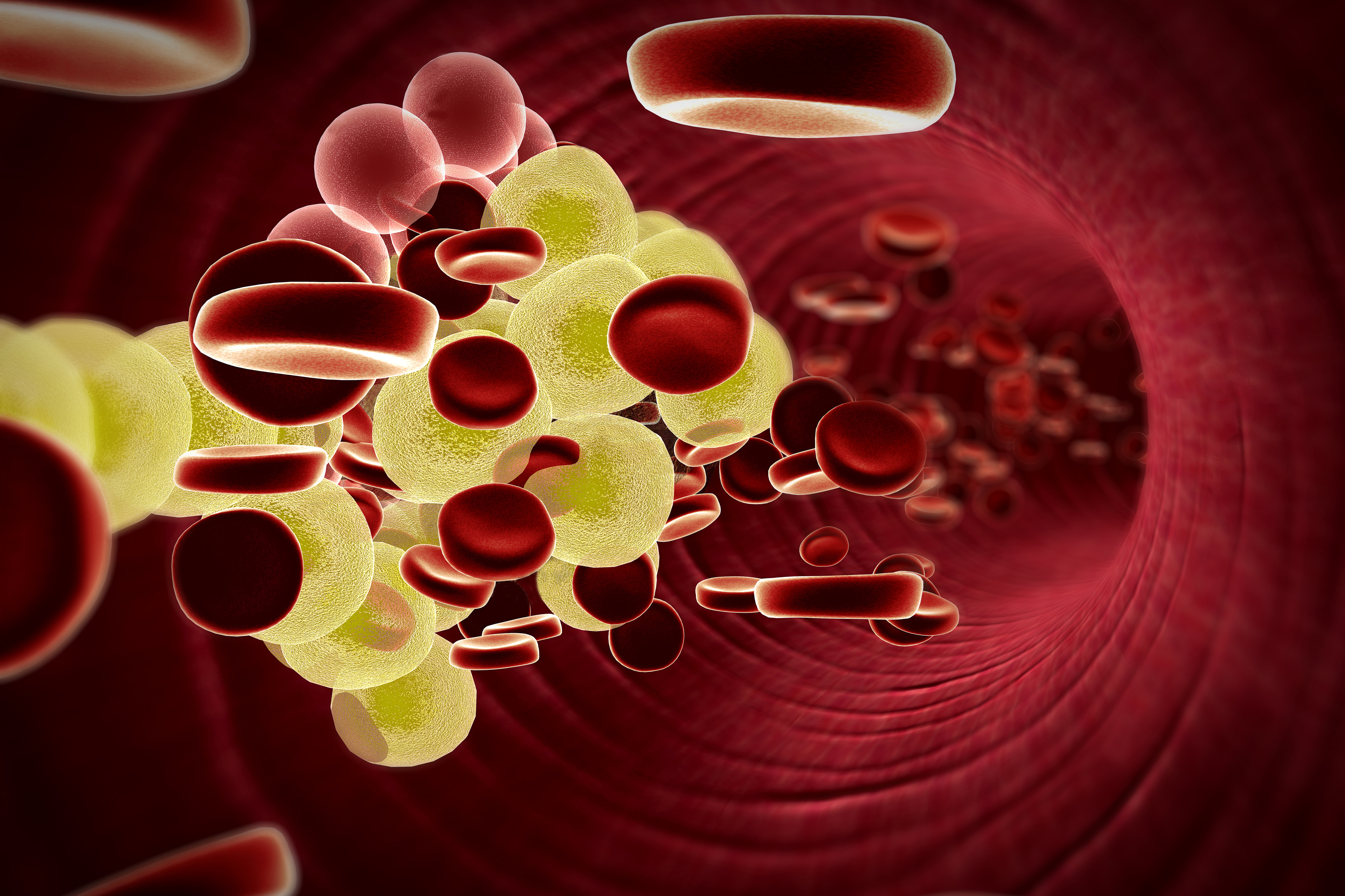 Illustration of red blood cells and cholesterol going through the vein of a person