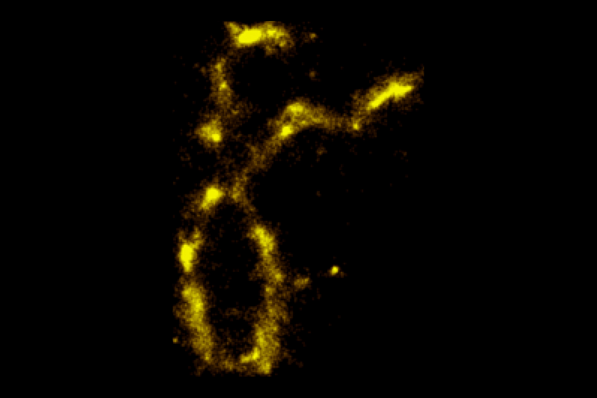 Yellow chromosome at 20 nanometers