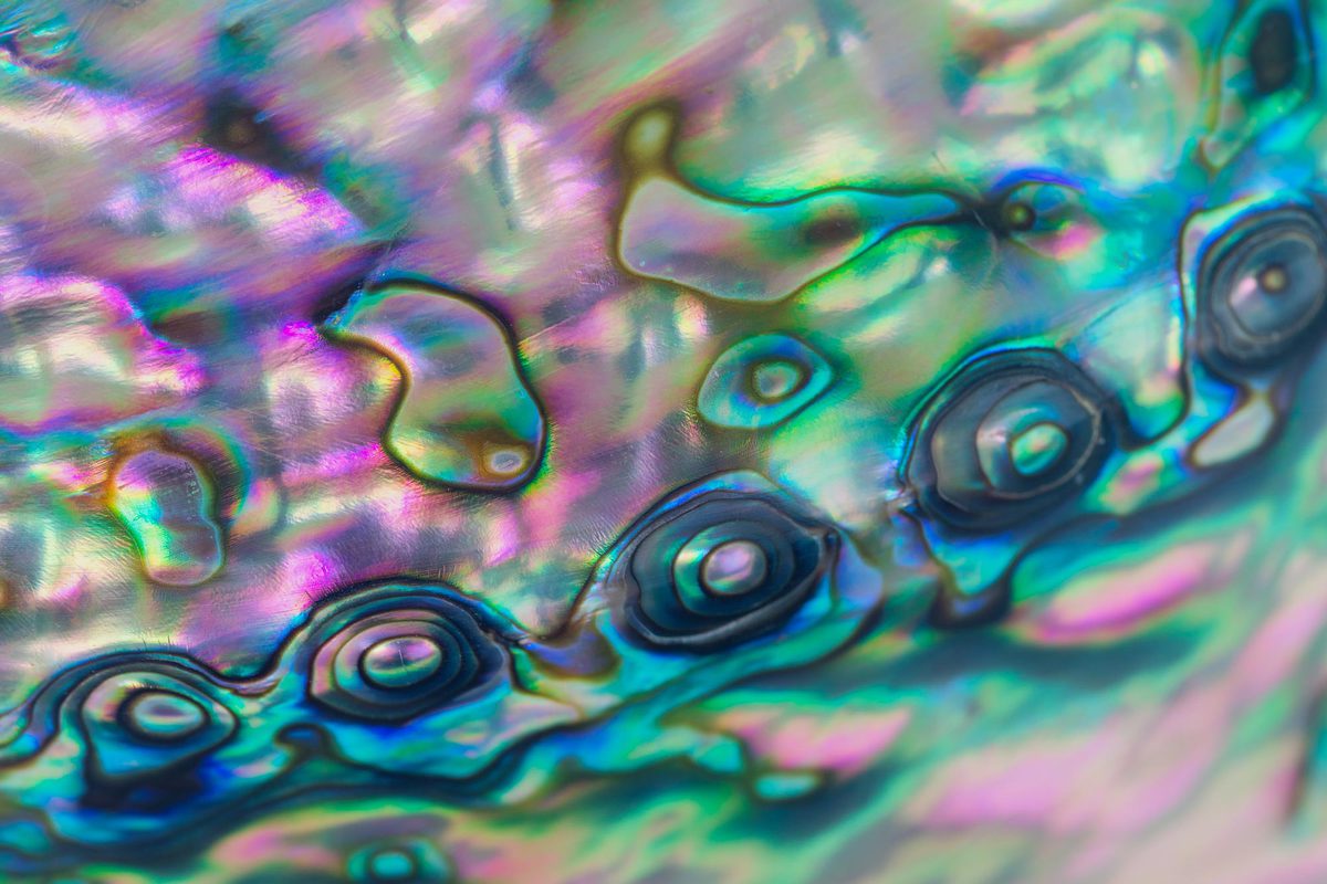multicolored bubbles and liquid