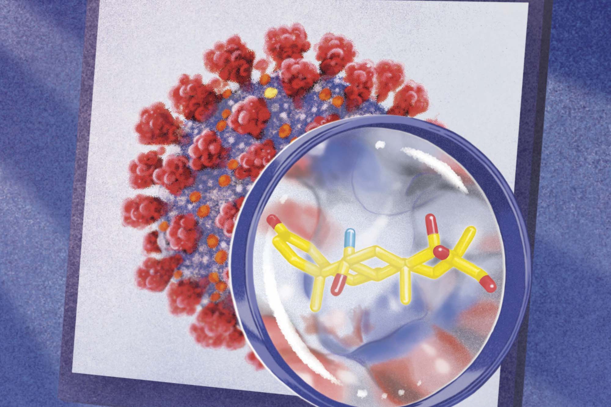 Illustration of covid-19 virus and a petri dish with dna makeup