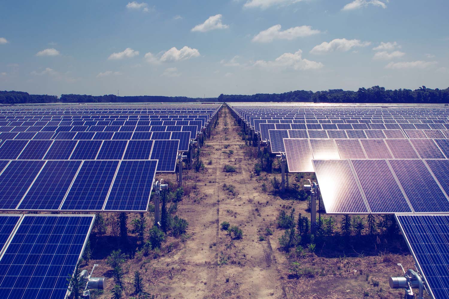 Solar panels in a field