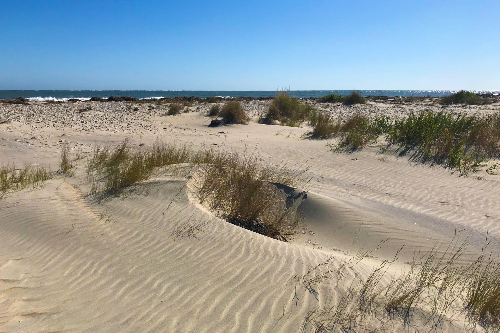 Sand dune at the beach