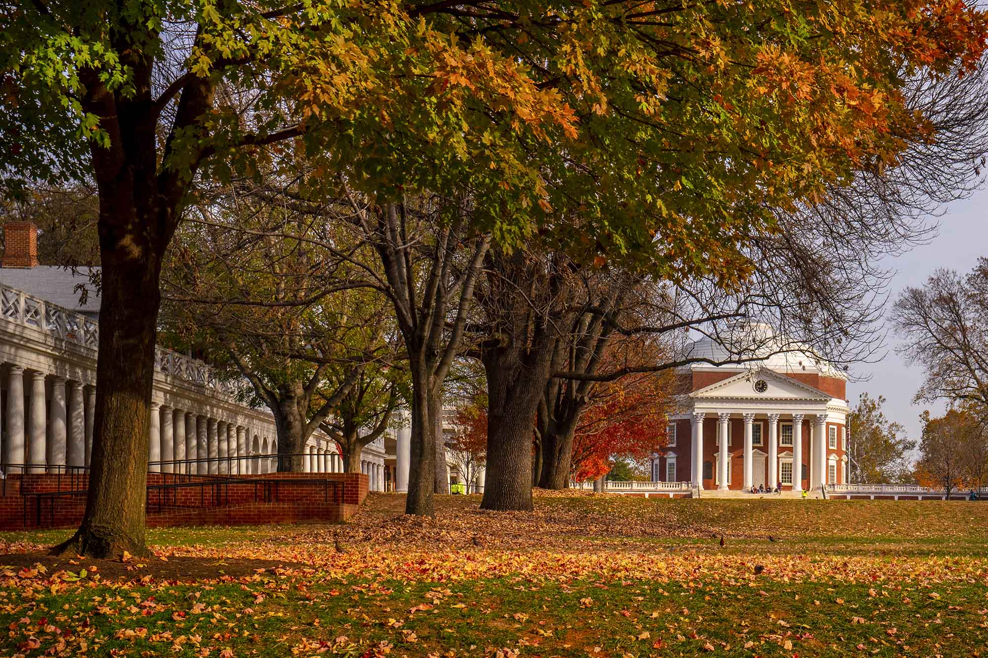 View of the Rotunda from the lawn as the trees are changing color