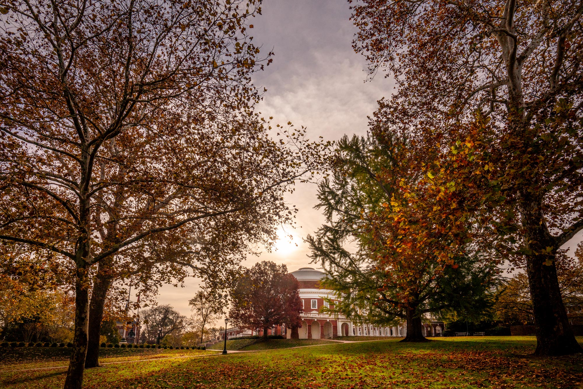 Side of the Rotunda seen through trees