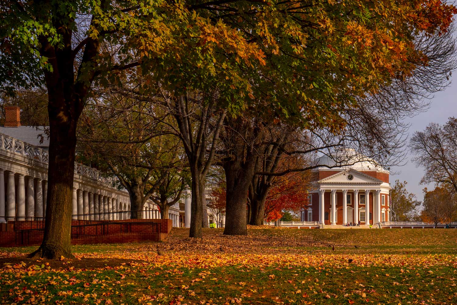 Rotunda with the Lawn trees changing from green to yellow, red, and orange, and falling to the ground