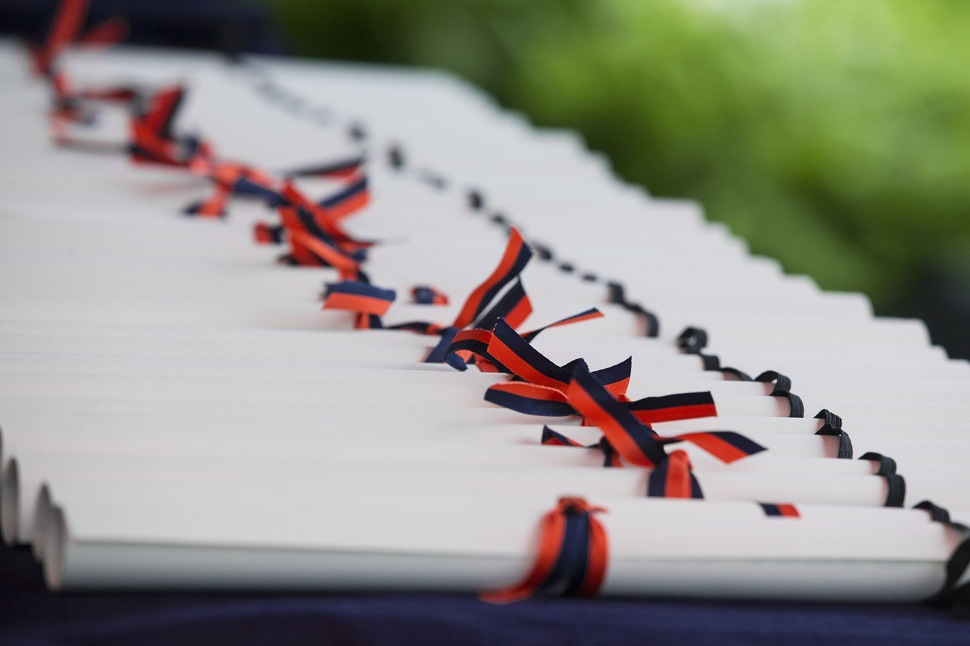 Rolled Diplomas lined on table tied with Orange and Blue Ribbons