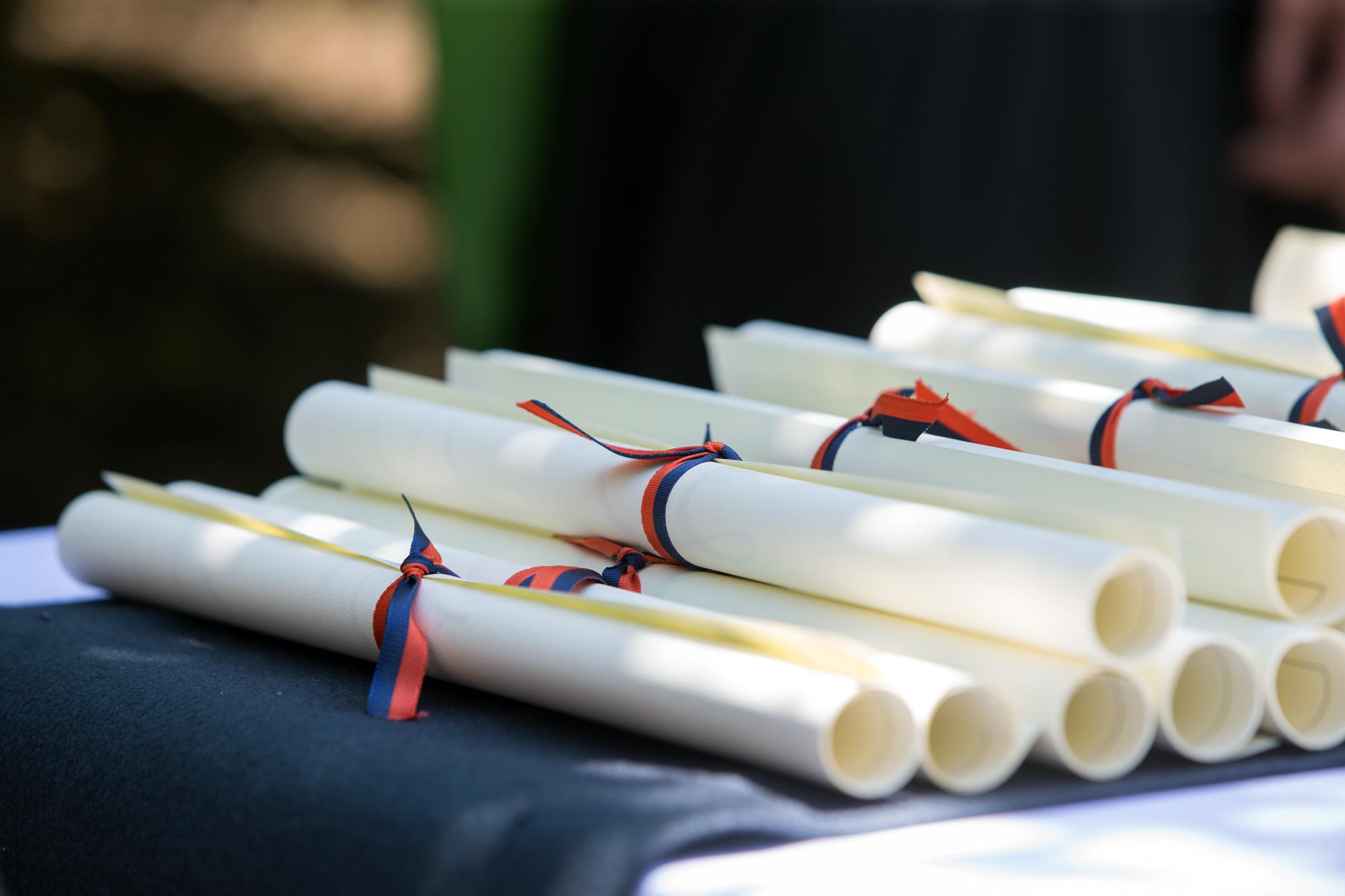 A stack of UVA diplomas rolled up and tied with orange and blue ribbon