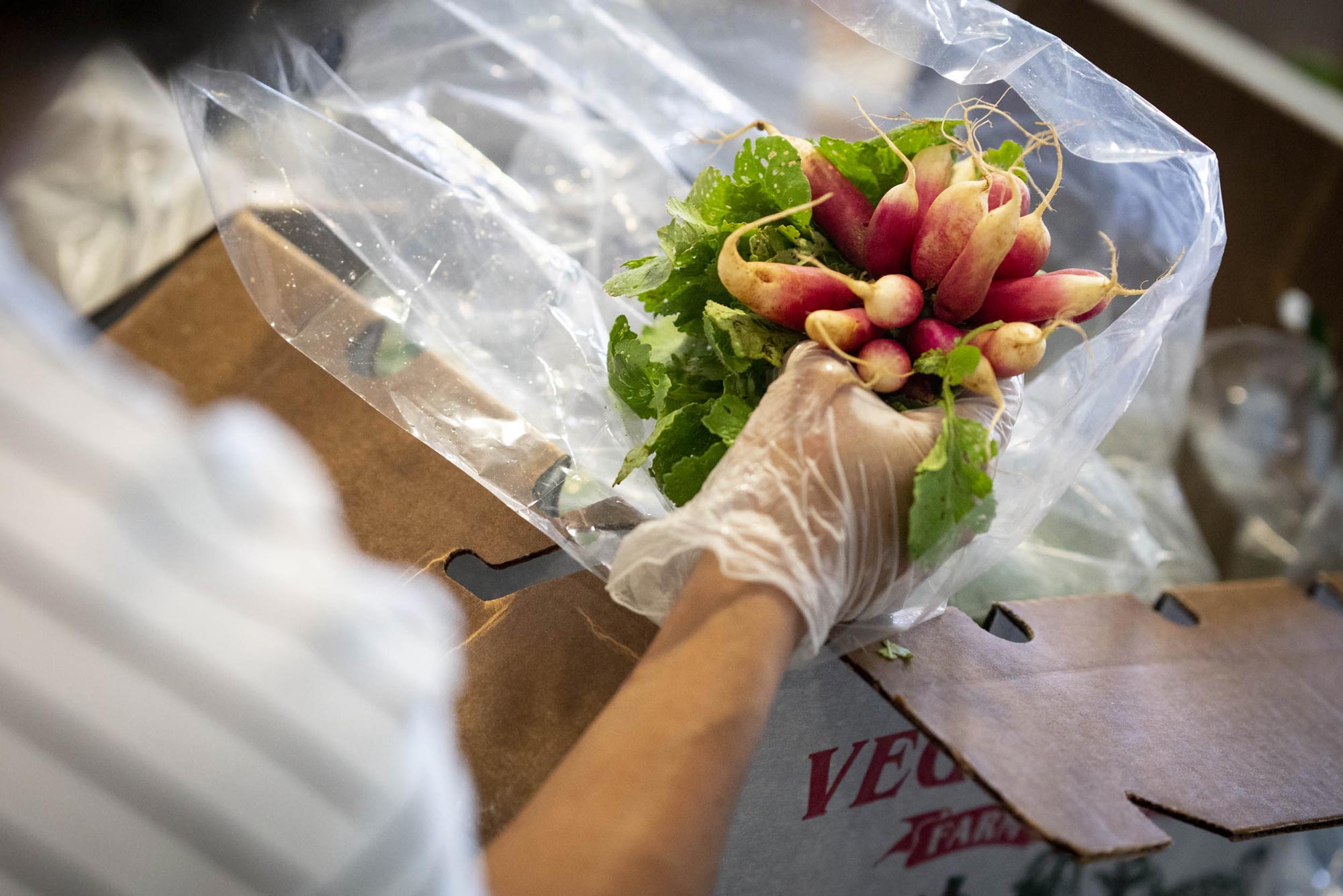 Person pulling radishes out of a box