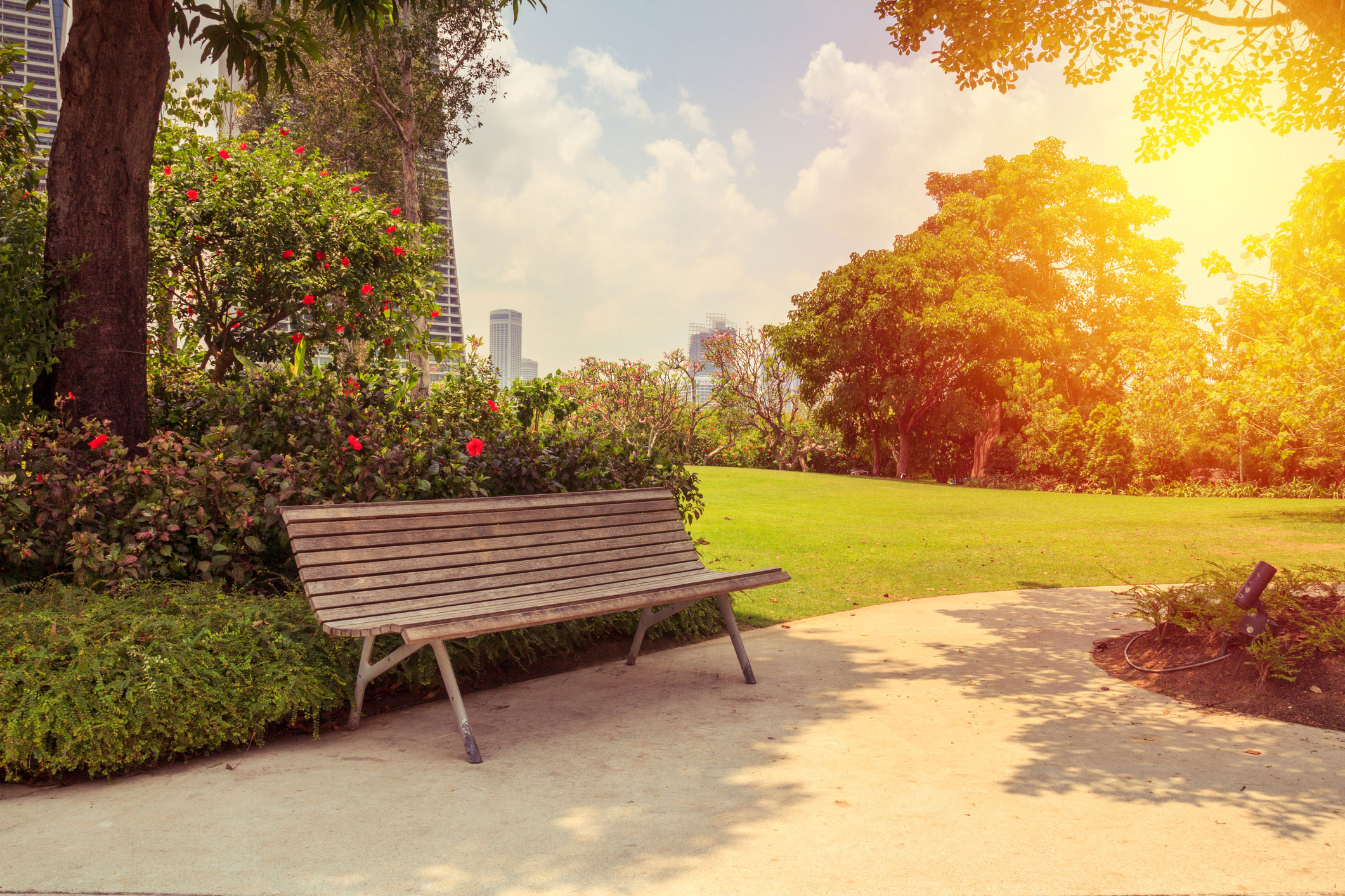 graphic illustration of a bench on a sidewalk next to trees and roses with a cityscape in the background