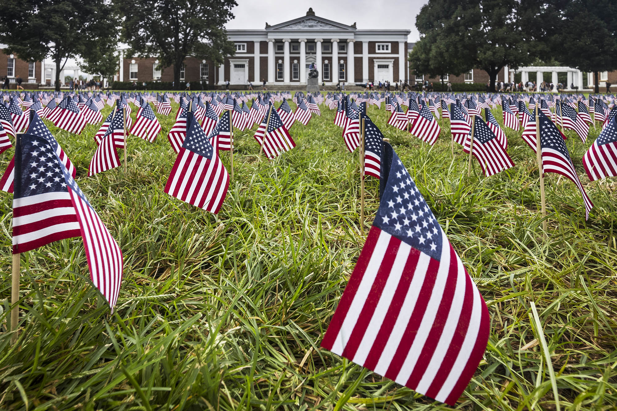 The Lawn covered in American Flags