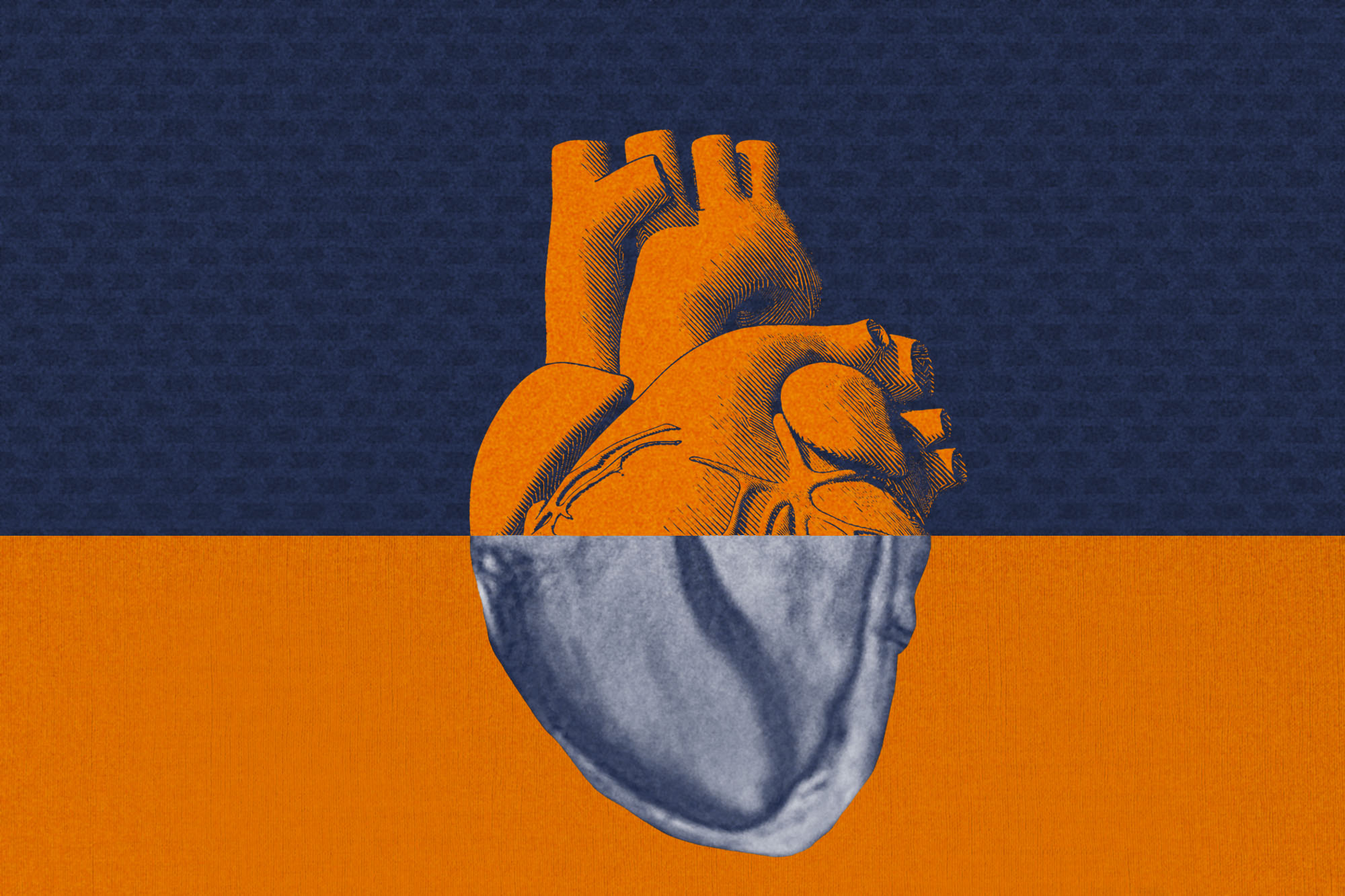 Illustration of a heart