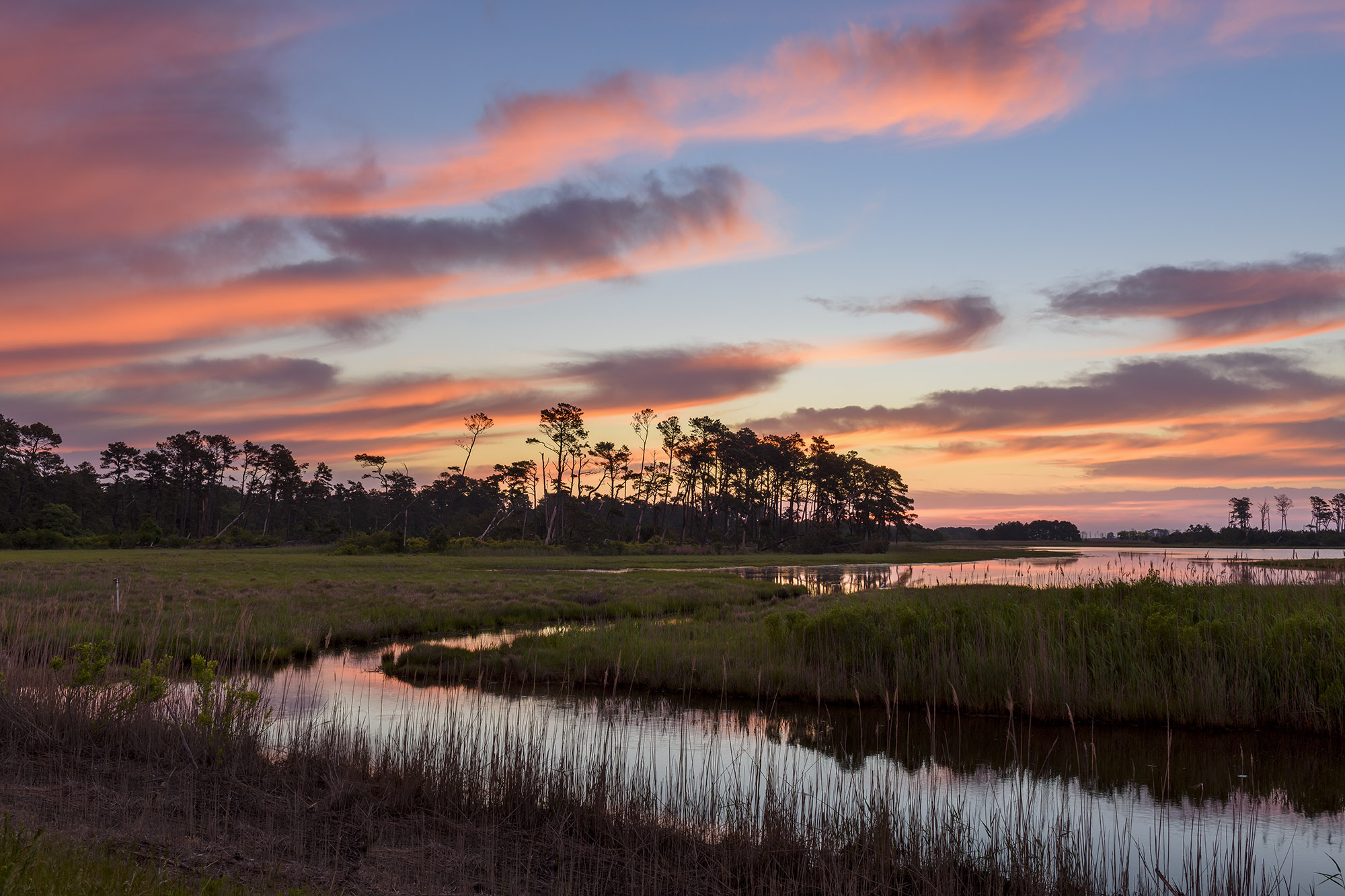 Landscape view of Virginias Wetlands with a pink, orange, yellow, and blue sunset that reflects on the water between the tall grass that grows.
