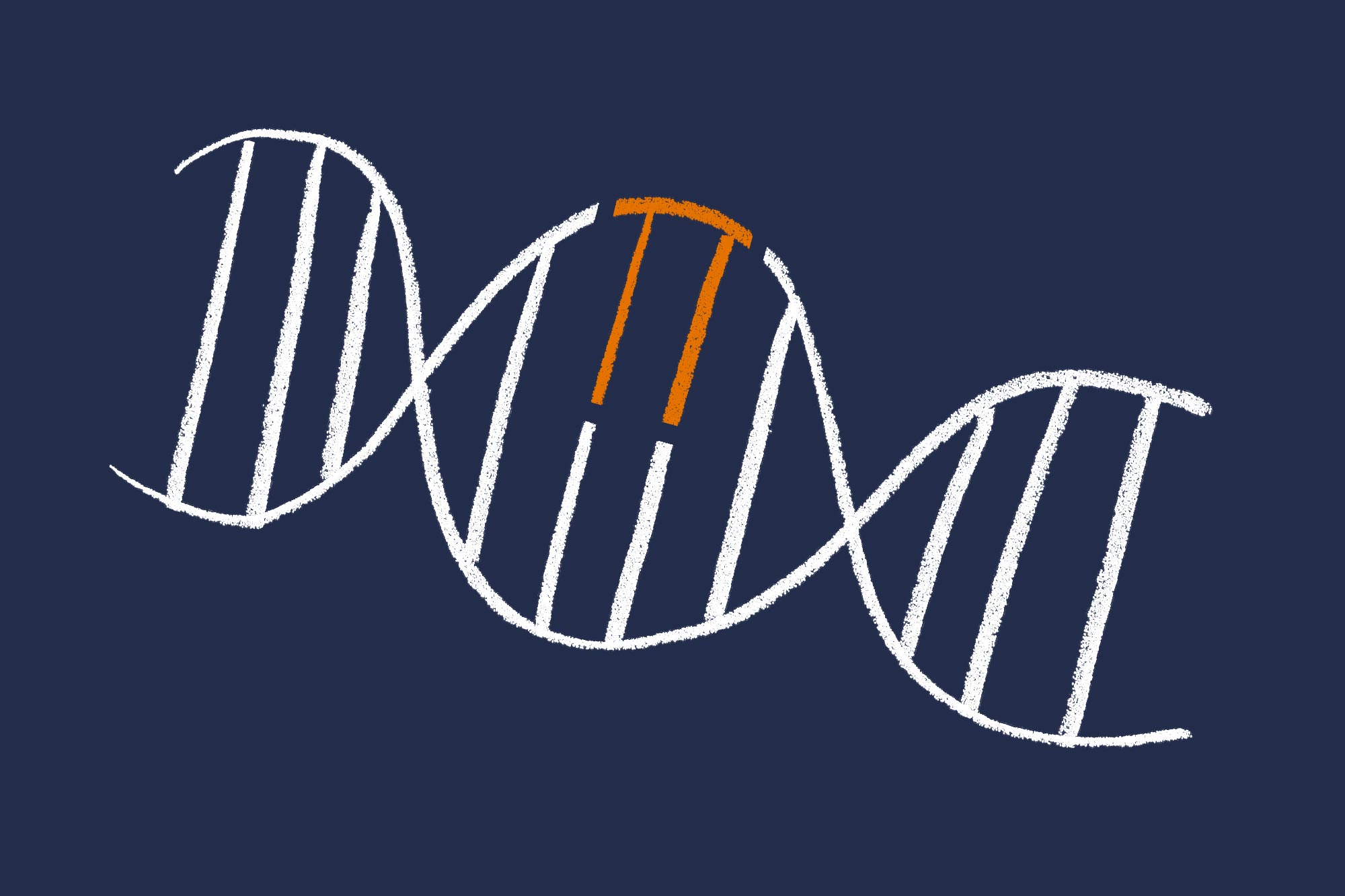 Illustration of a DNA helix with to rods higlighted