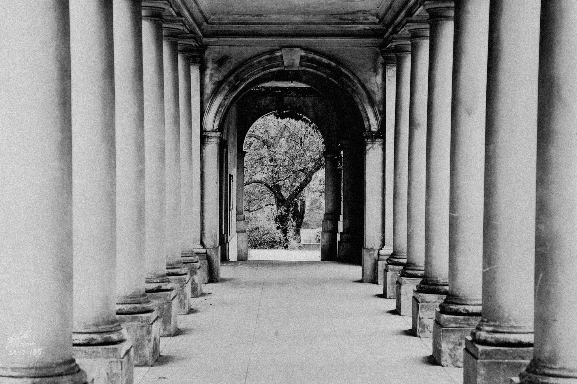 black and white image of a sidewalk lined with white pillars