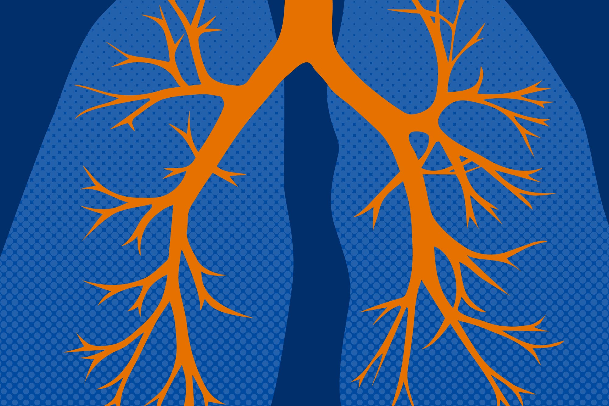 illustration of a humans Lung